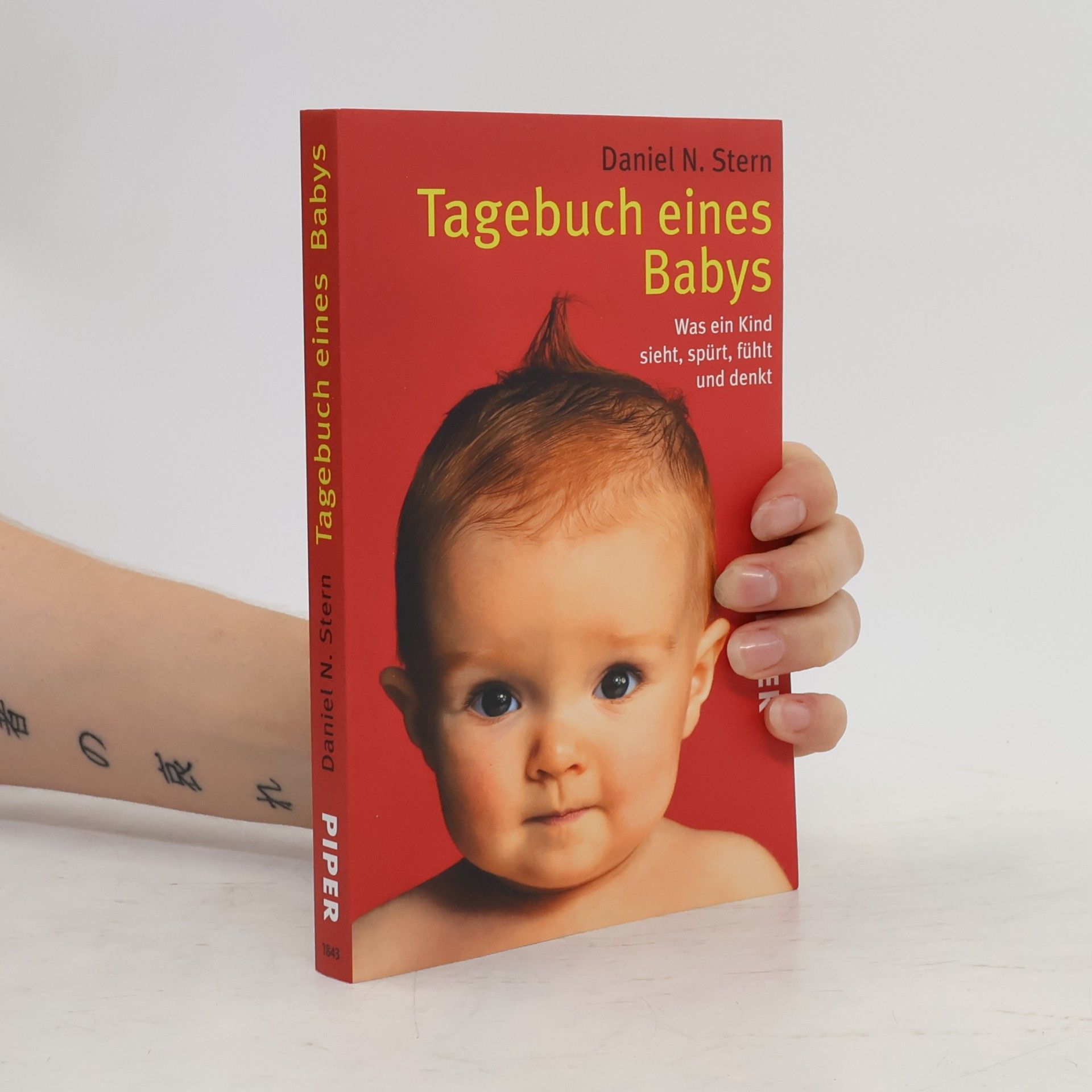 Daniel Stern Tagebuch eines Babys