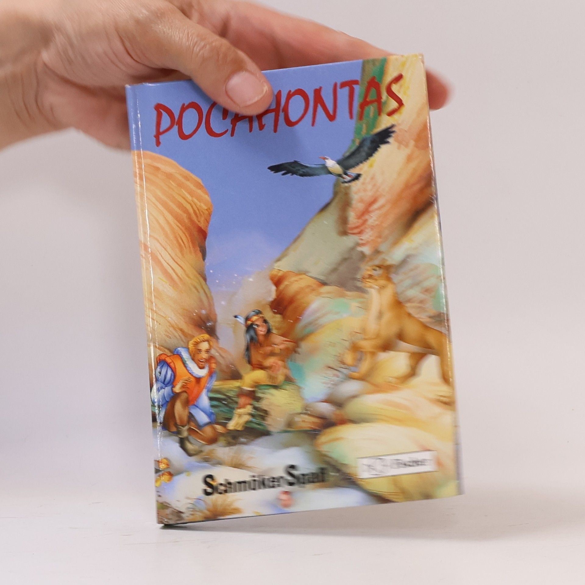 Autorenkollektiv Pocahontas