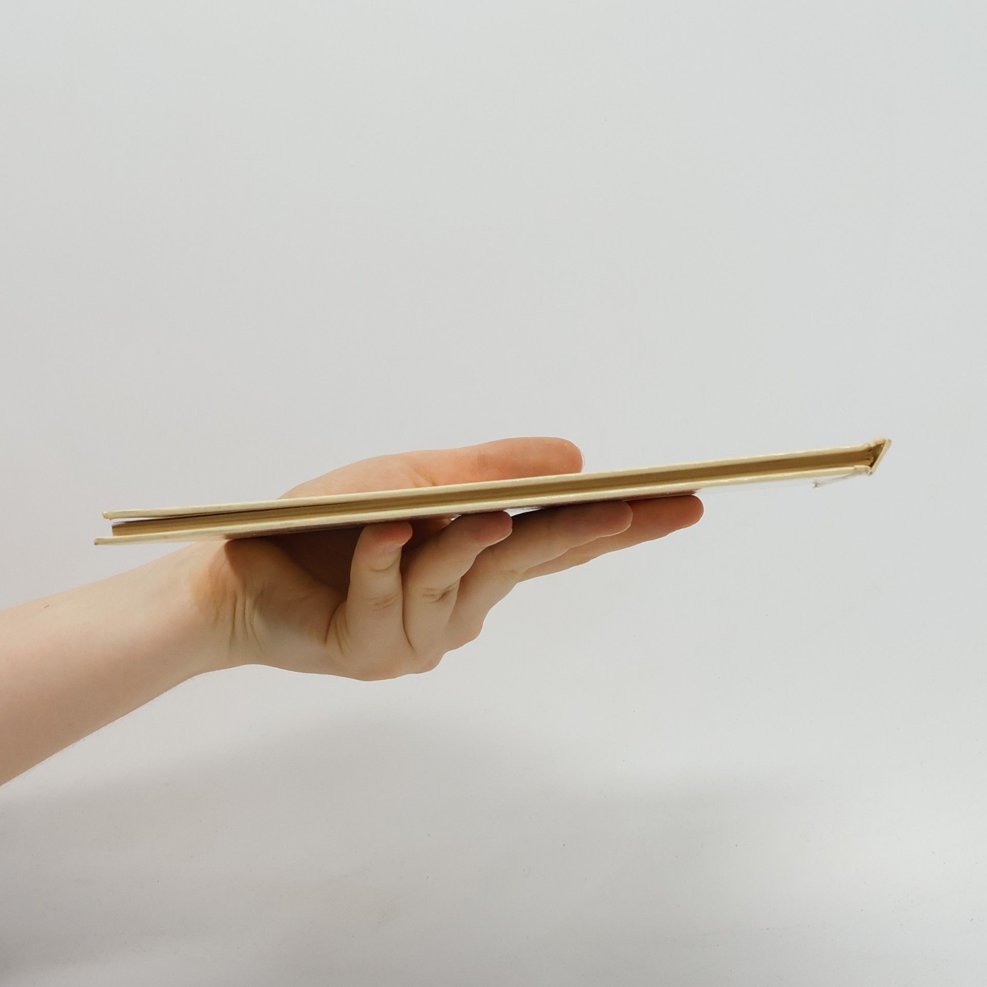 Autores varios Das frivole Museum
