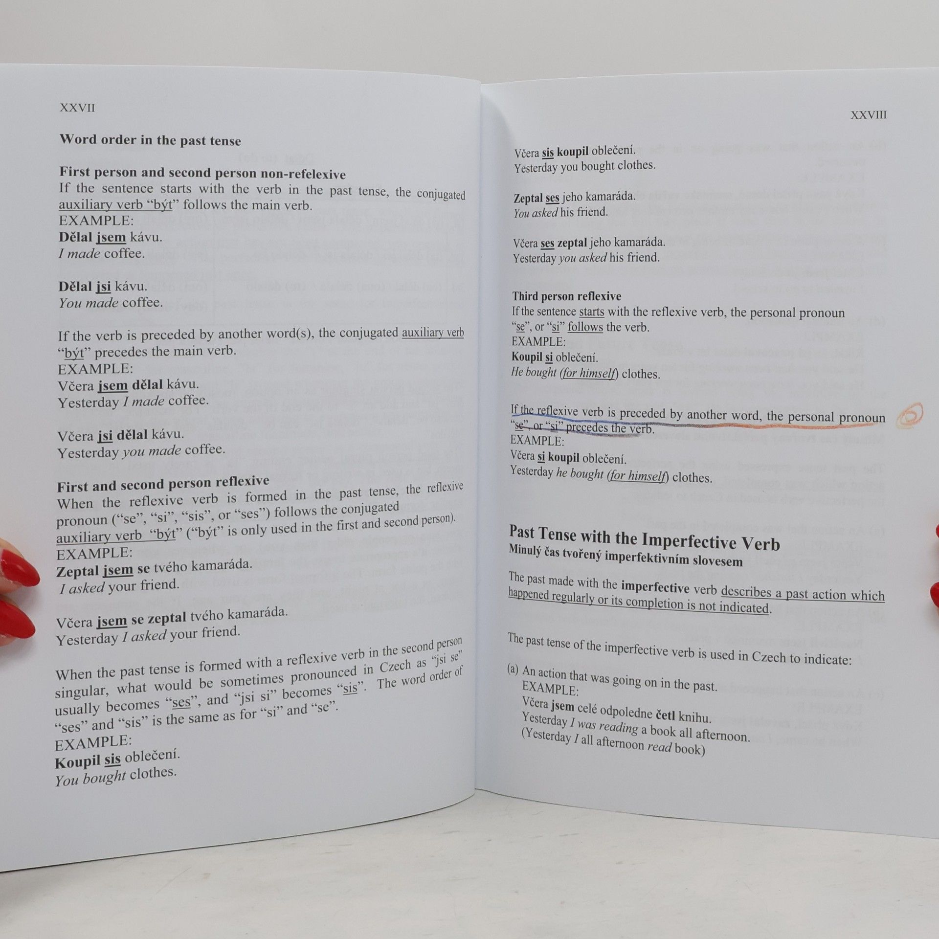 Bruce Davies 401 Czech Verbs