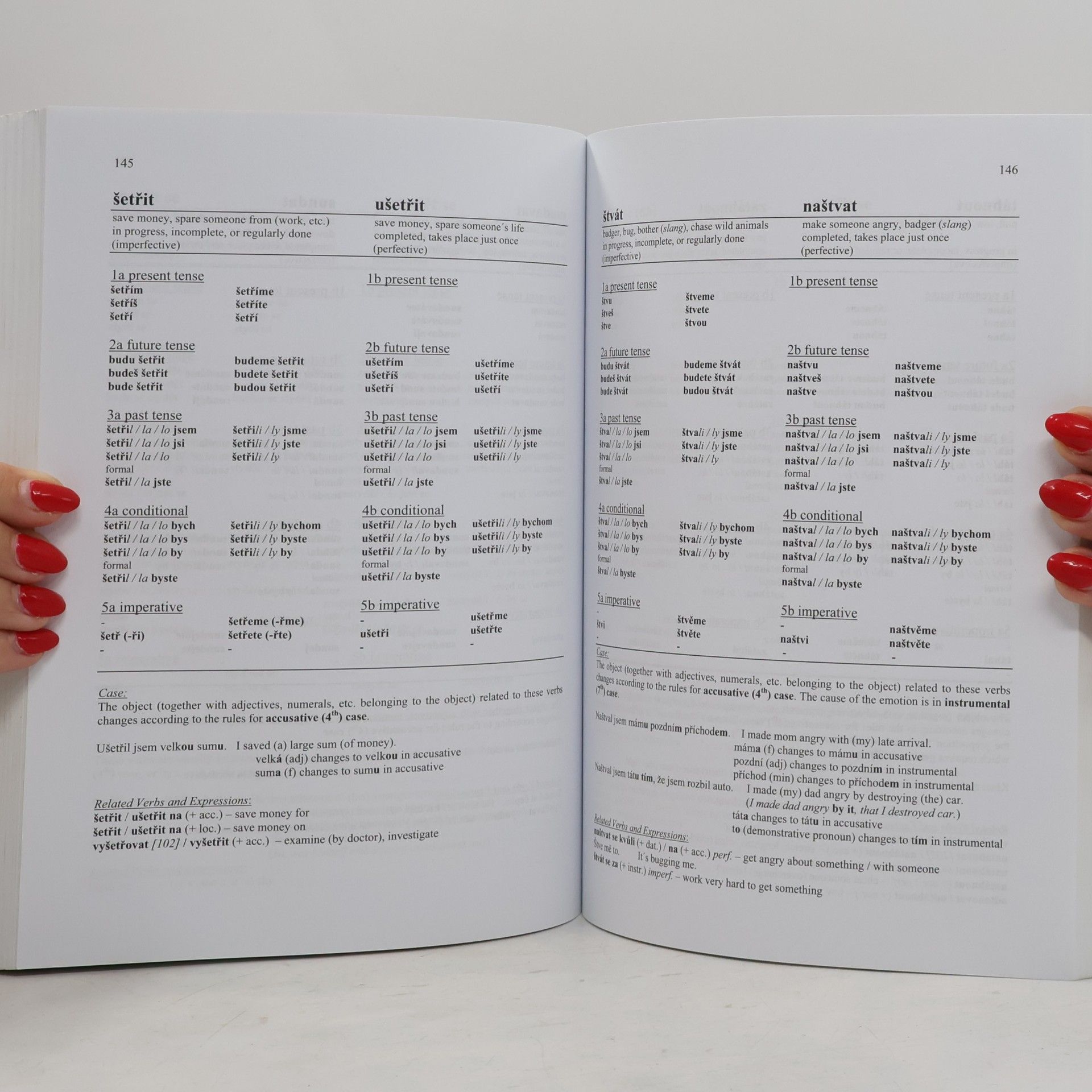 Bruce Davies 401 Czech Verbs