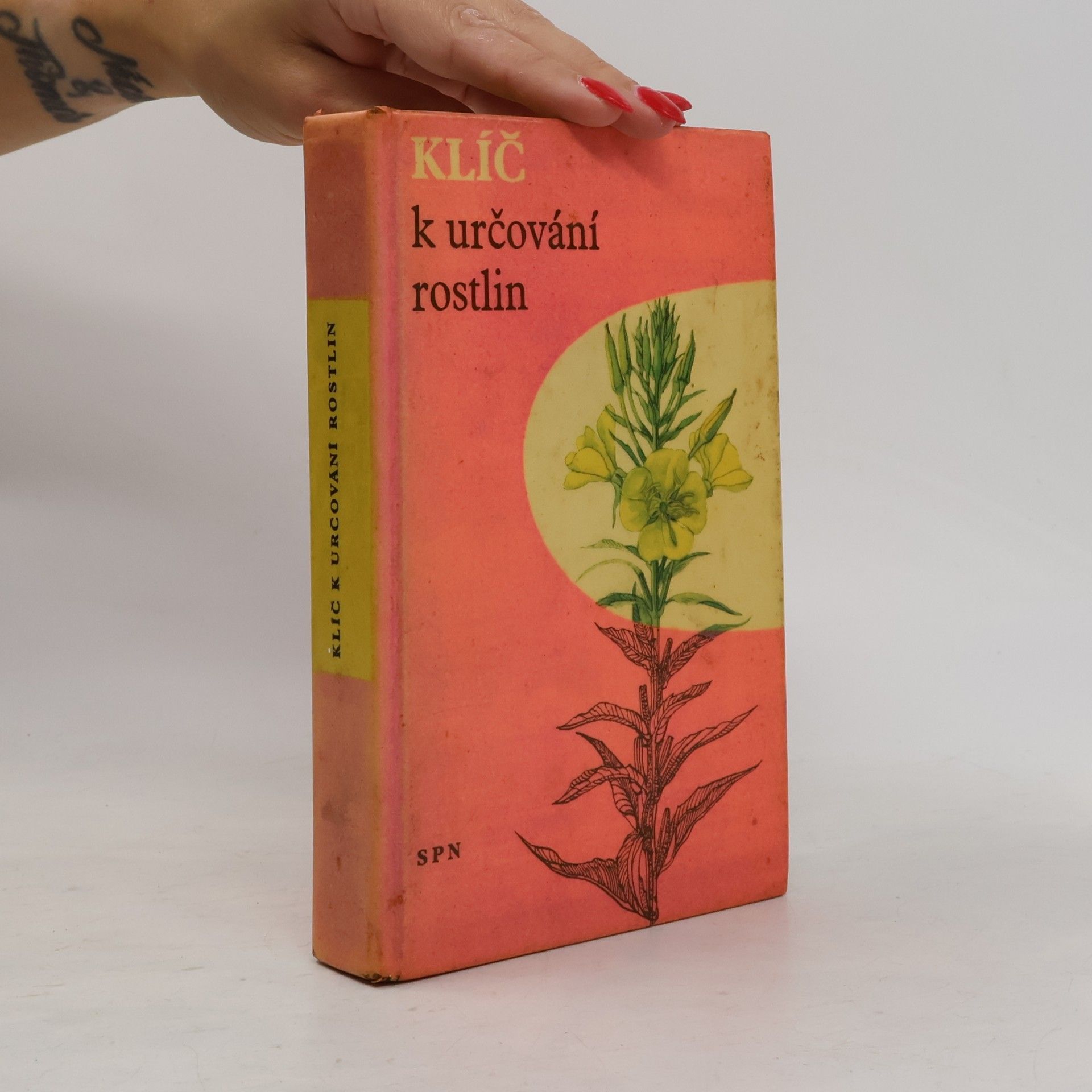 Autorenkollektiv Klíč k určování rostlin