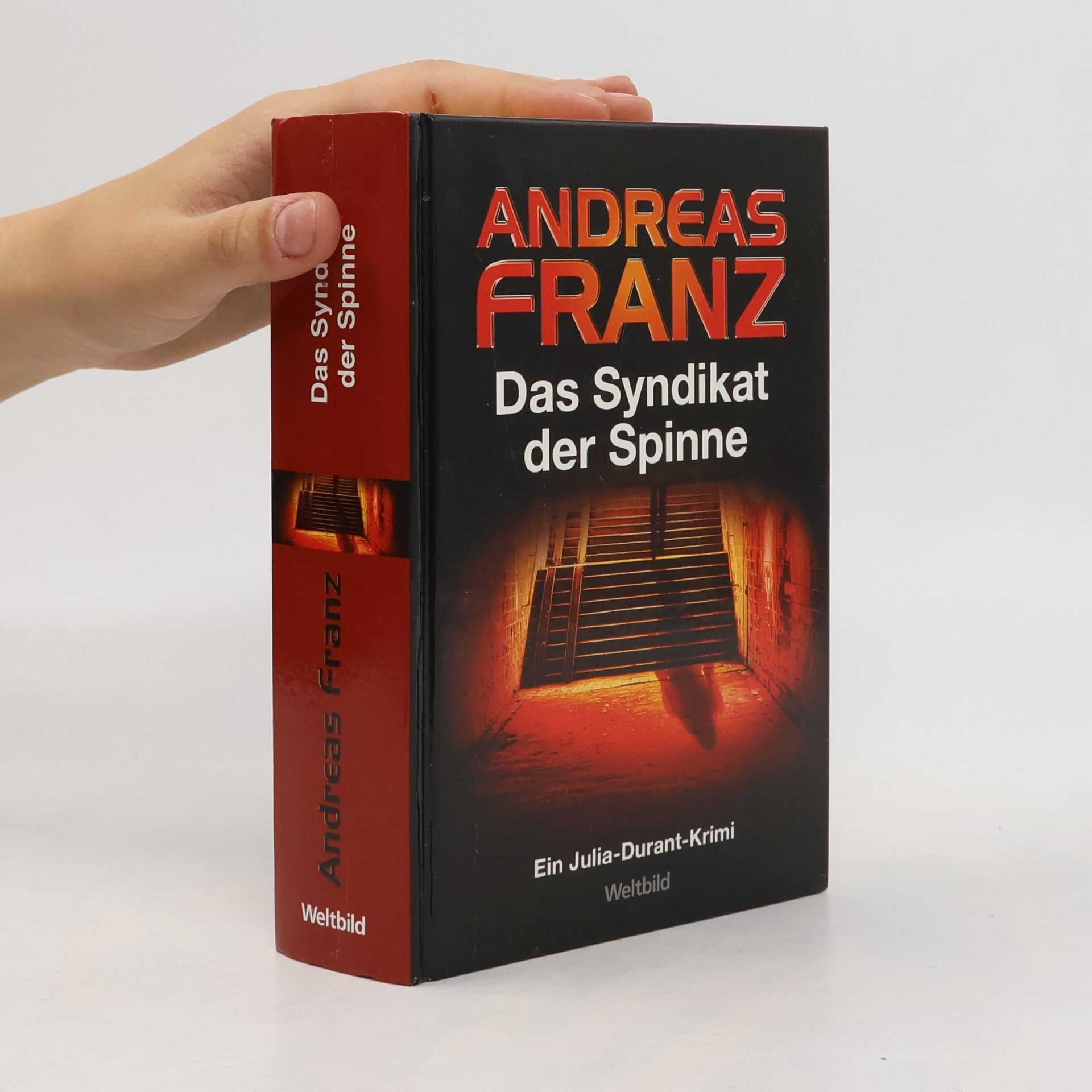 Andreas Franz Das Syndikat der Spinne