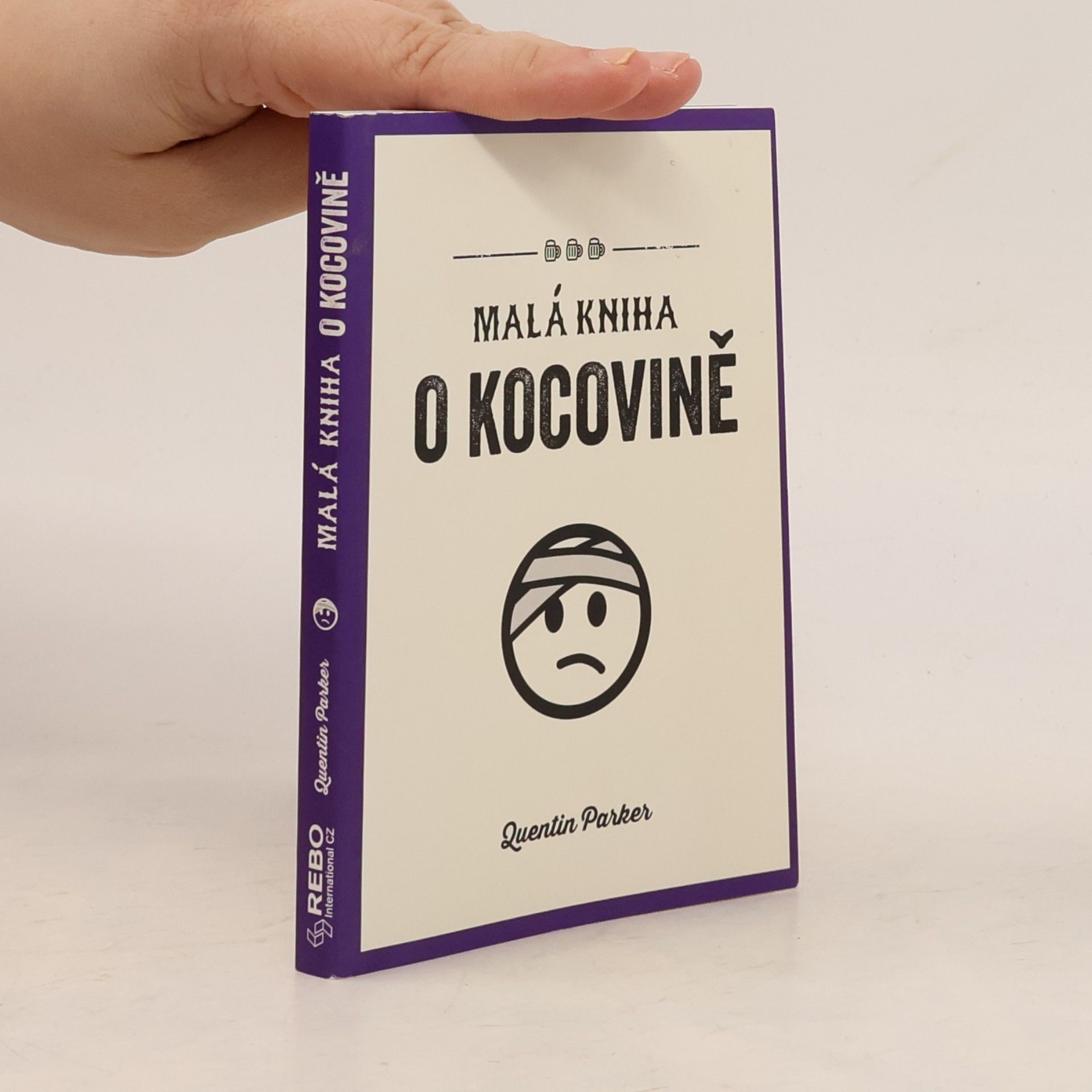Patricie Kohnová Malá kniha o kocovině