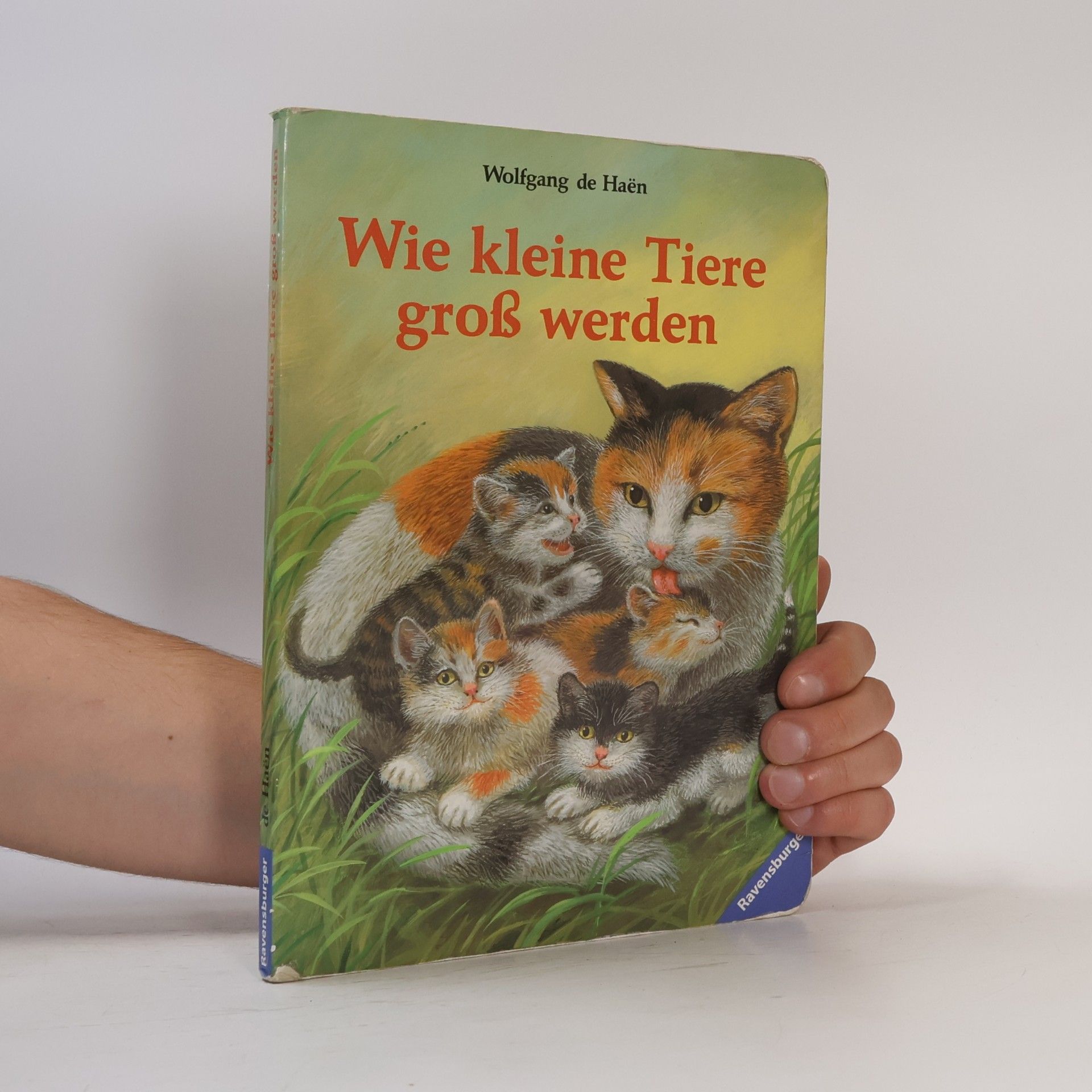 Wolfgang de Haen Wie kleine Tiere groß werden