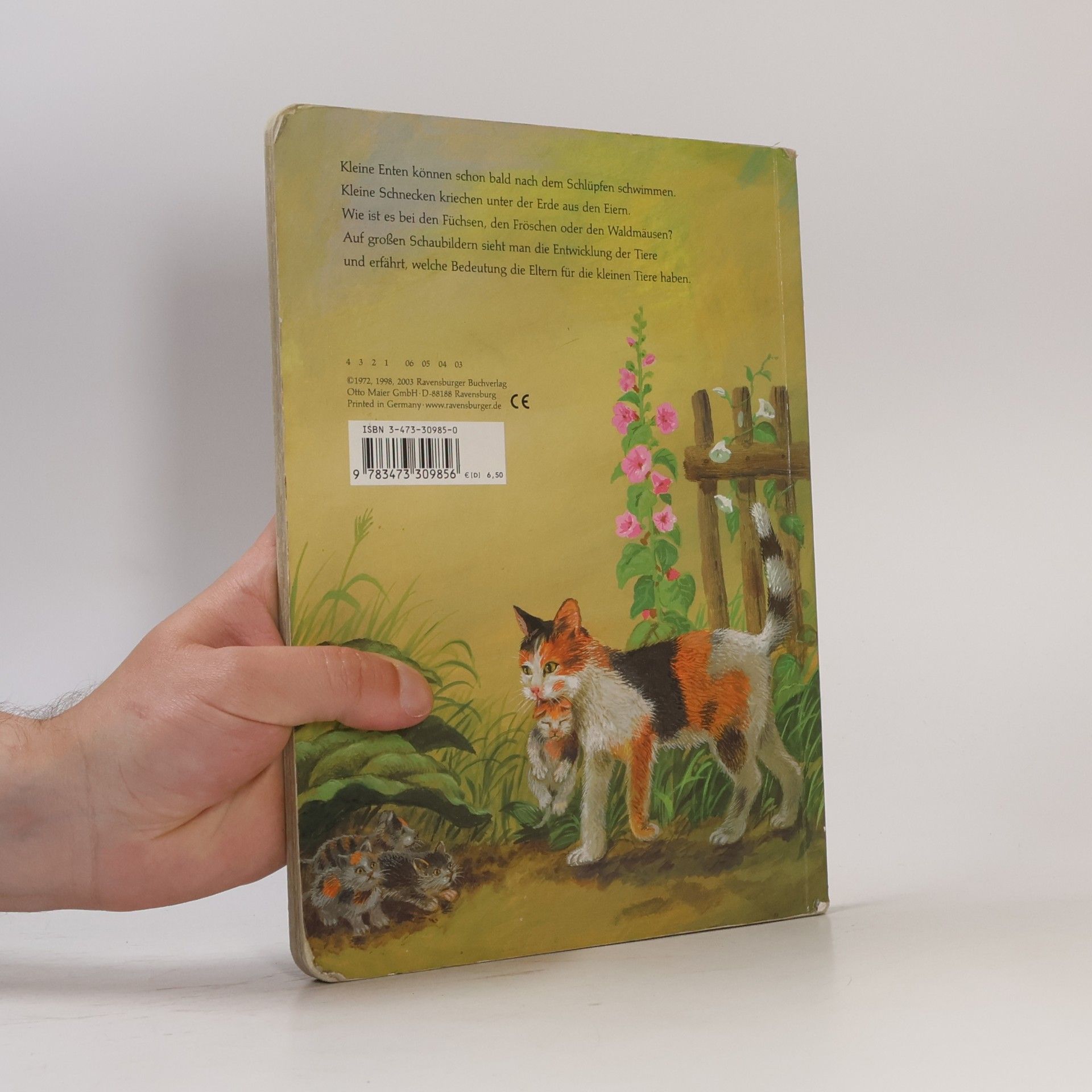 Wolfgang de Haen Wie kleine Tiere groß werden