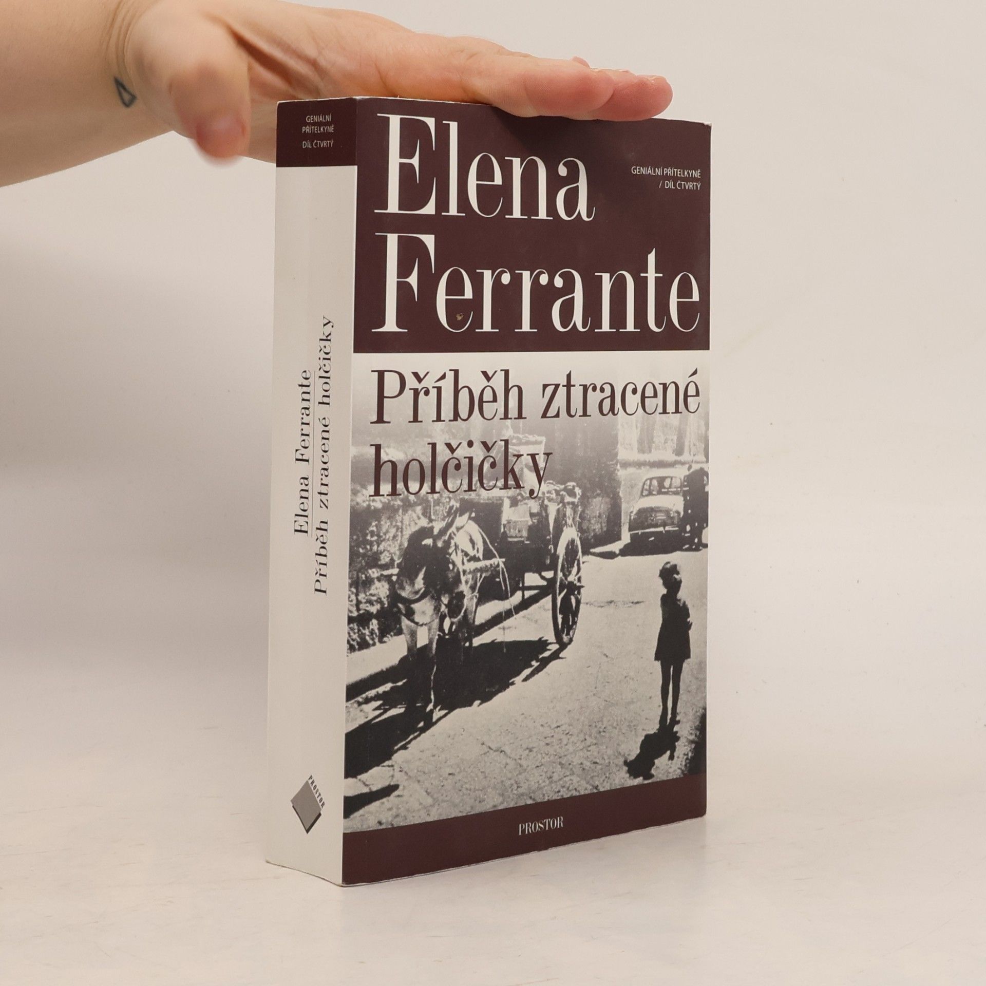 Elena Ferrante Příběh ztracené holčičky. Geniální přítelkyně. 4. díl