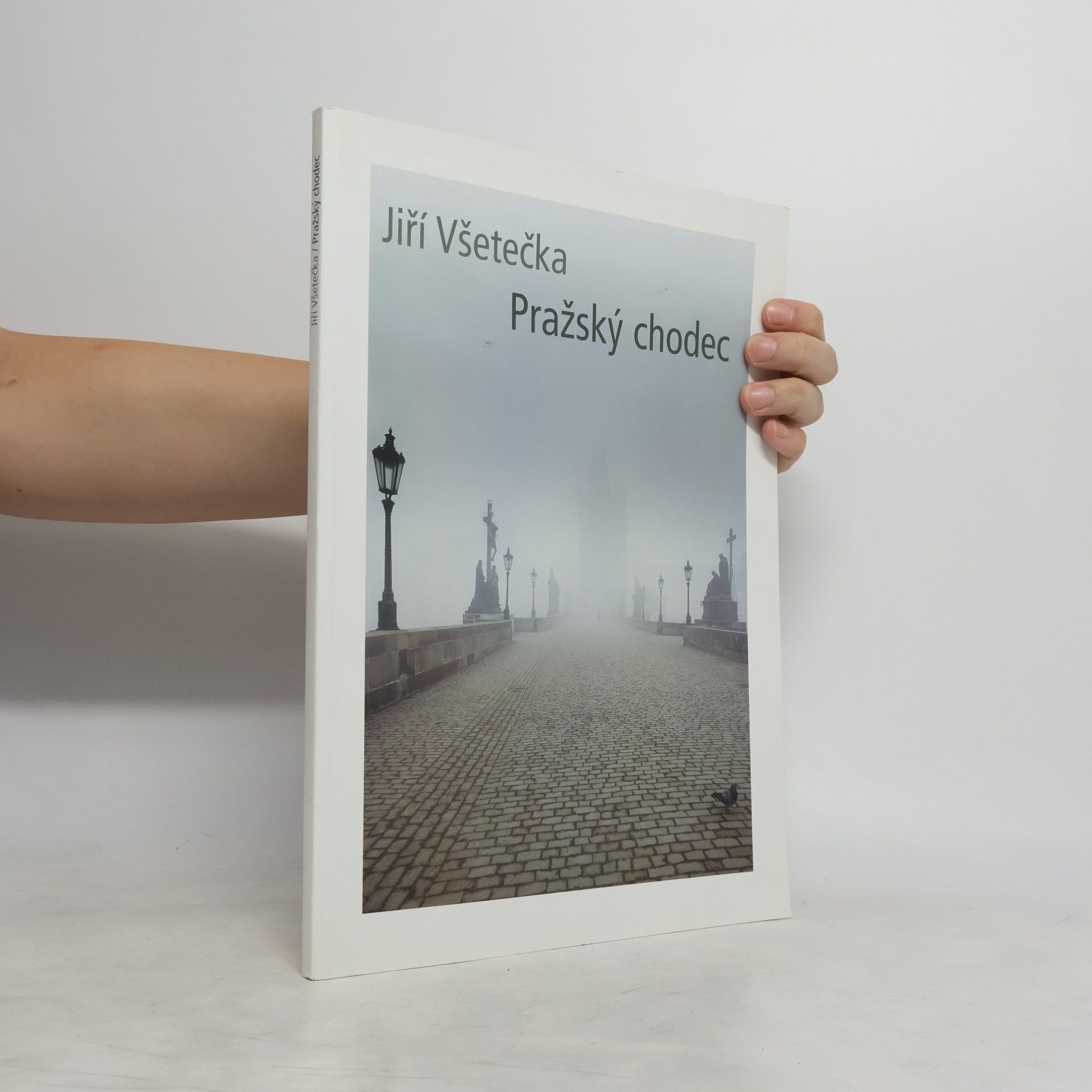 Jiří Všetečka Pražský chodec
