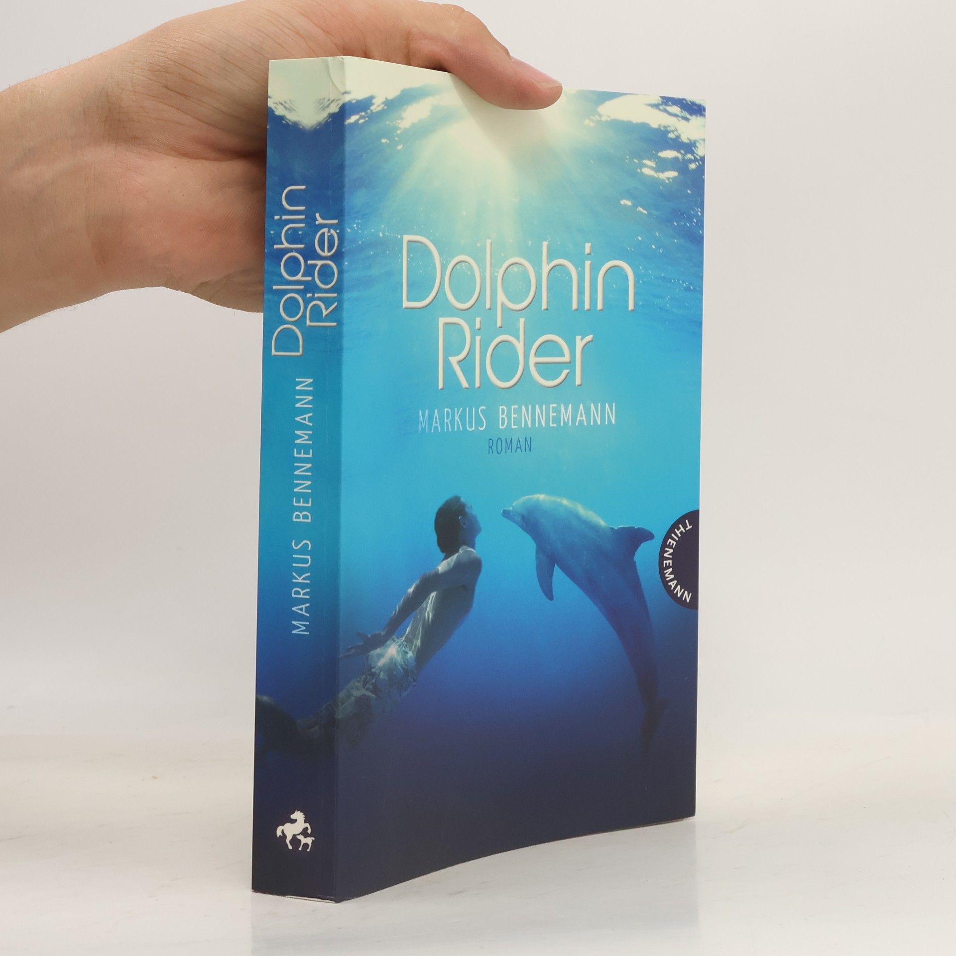 Markus Bennemann Dolphin rider
