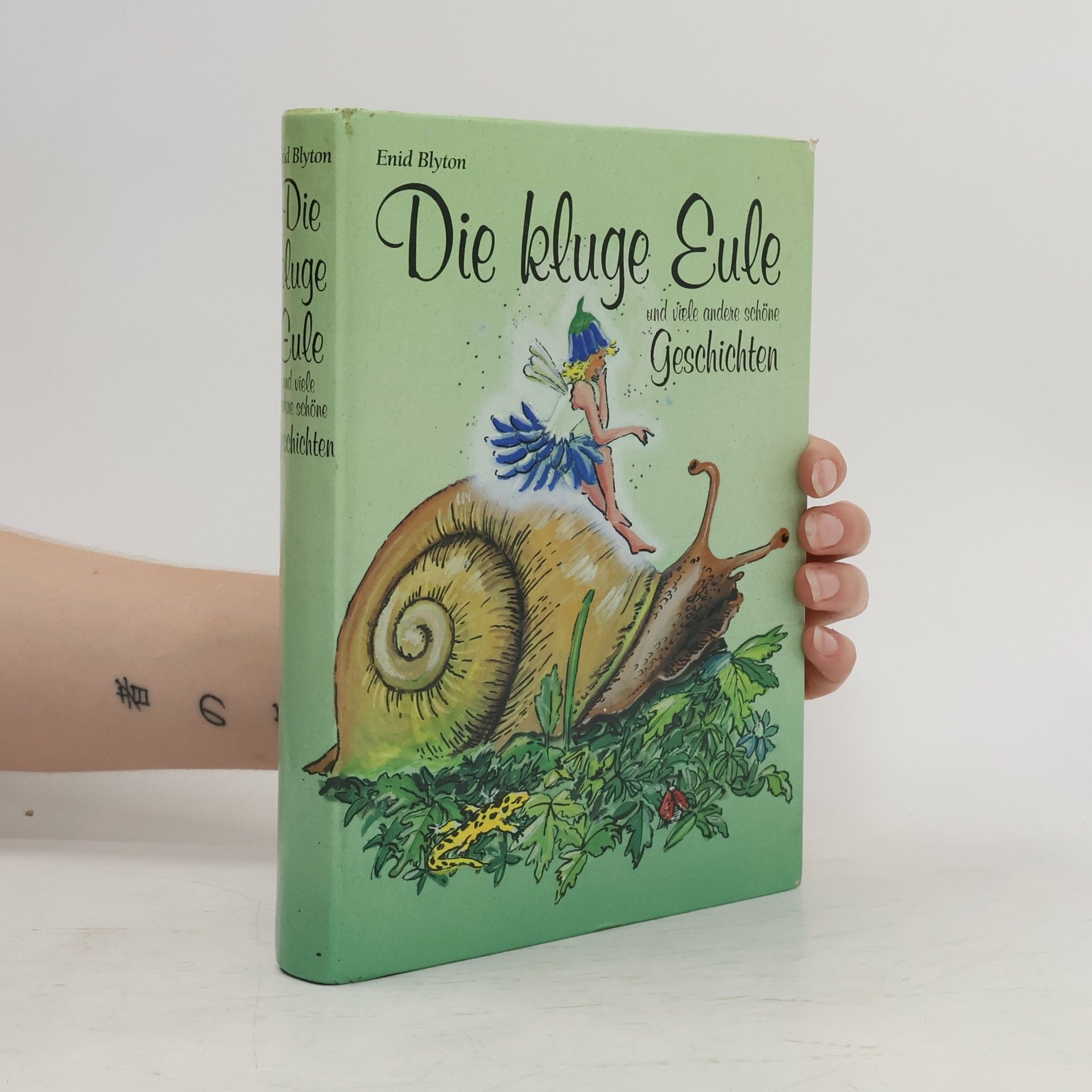 Enid Blyton Die kluge Eule