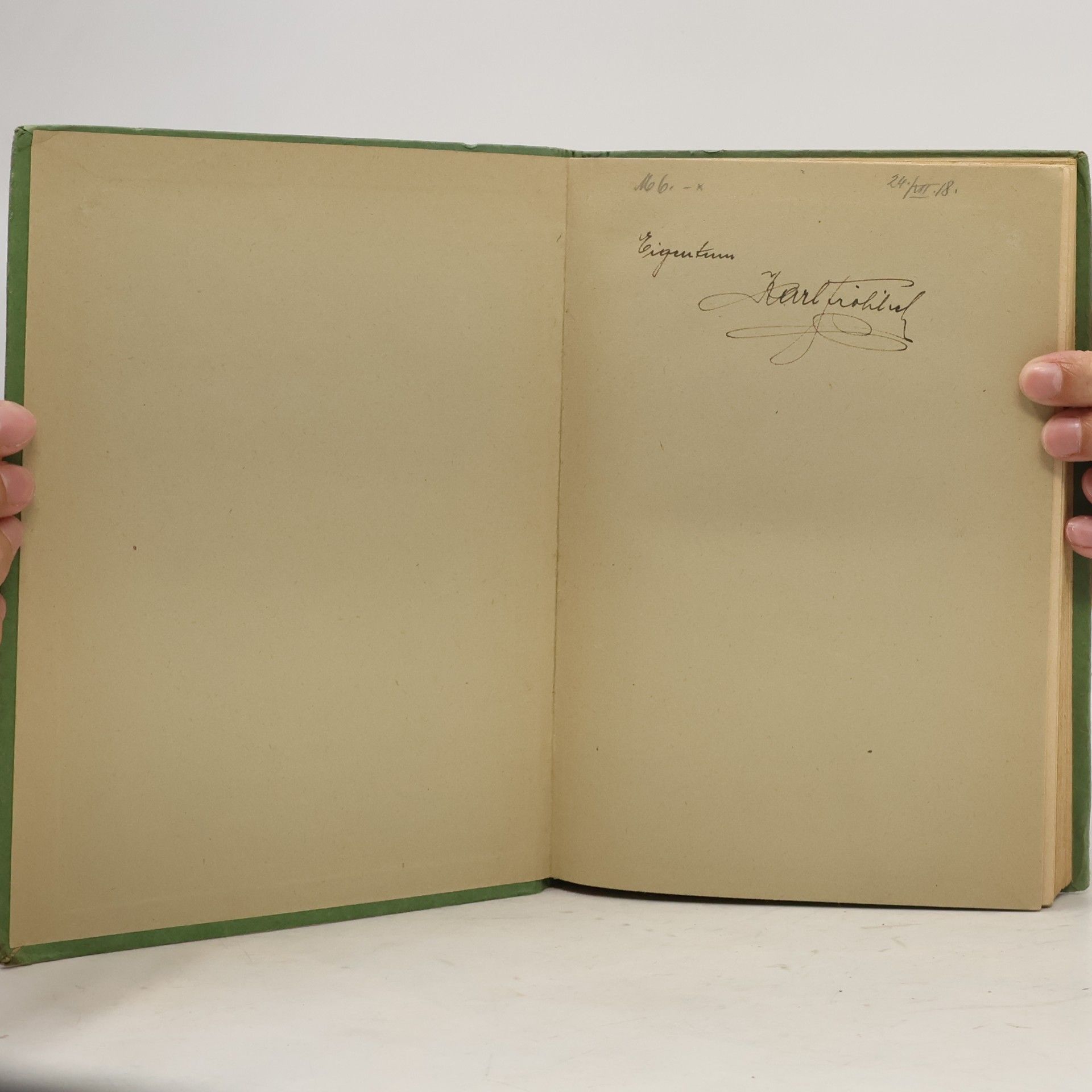 Hermann Löns Mein grünes Buch
