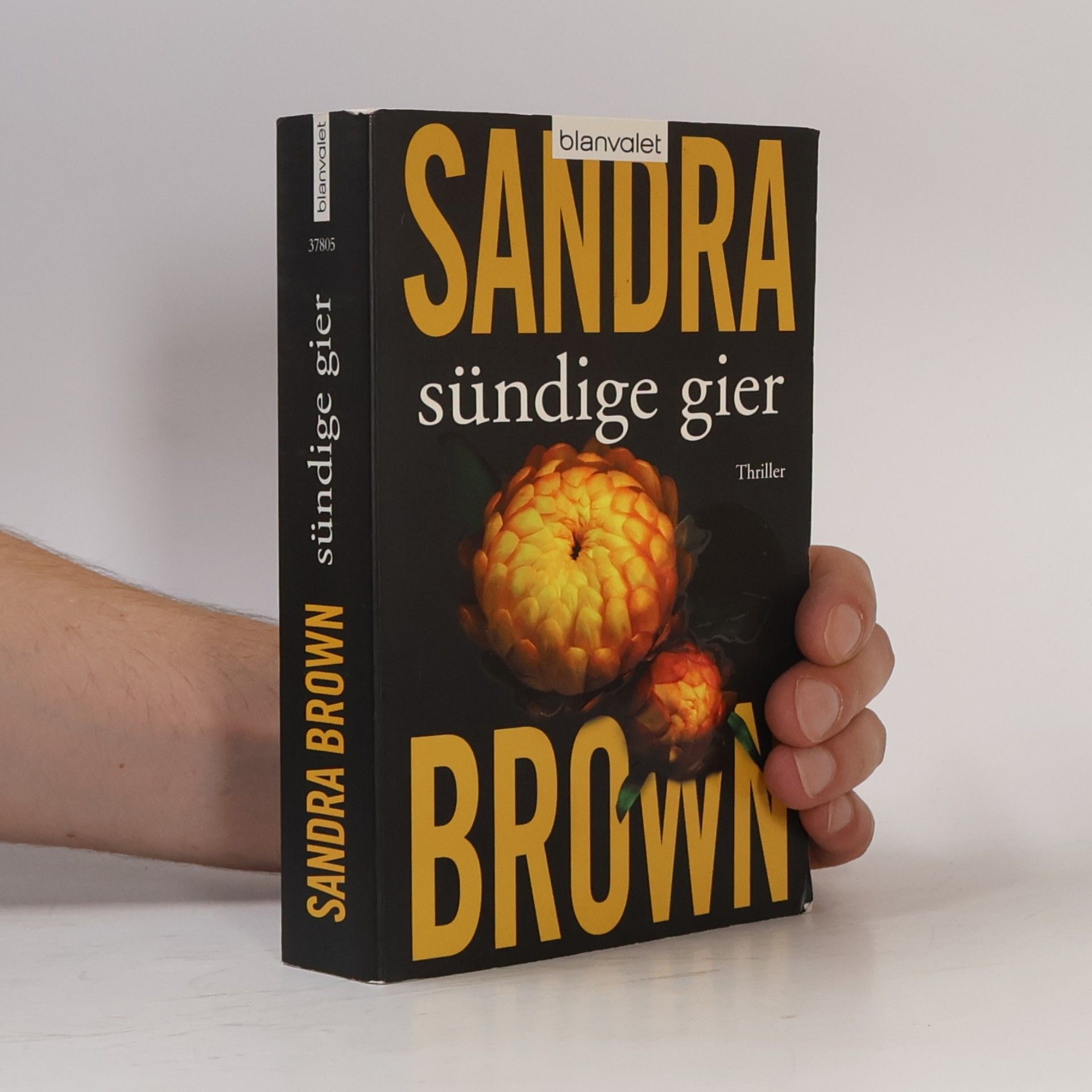 Sandra Brown Sündige Gier