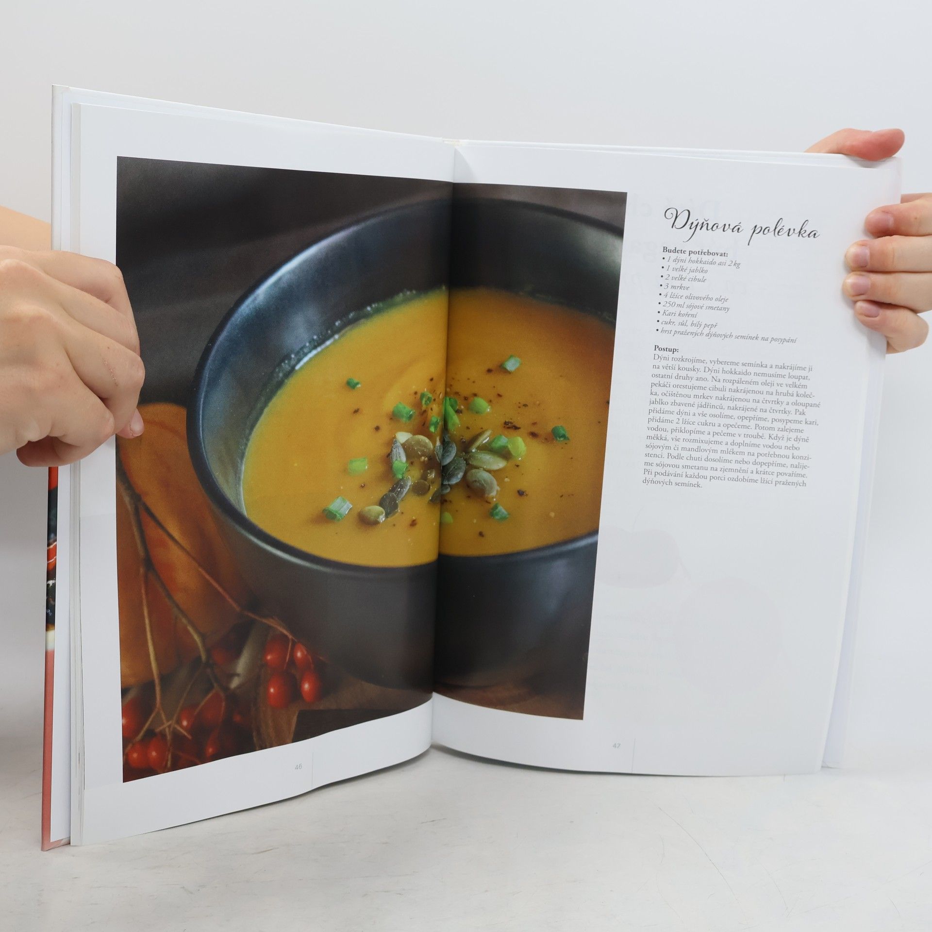 Various authors Velká kniha Vegetarián