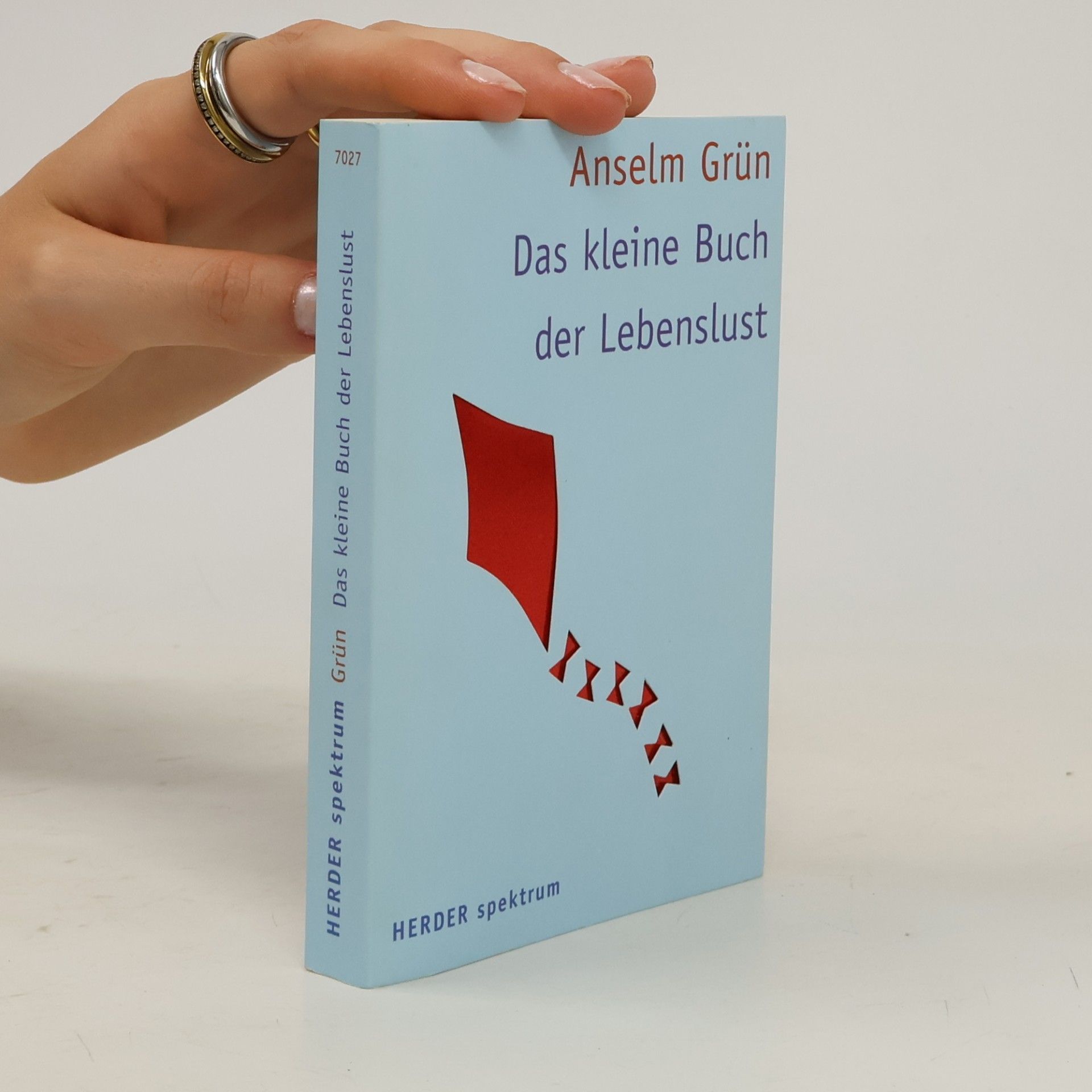 Anselm Grün Das kleine Buch der Lebenslust