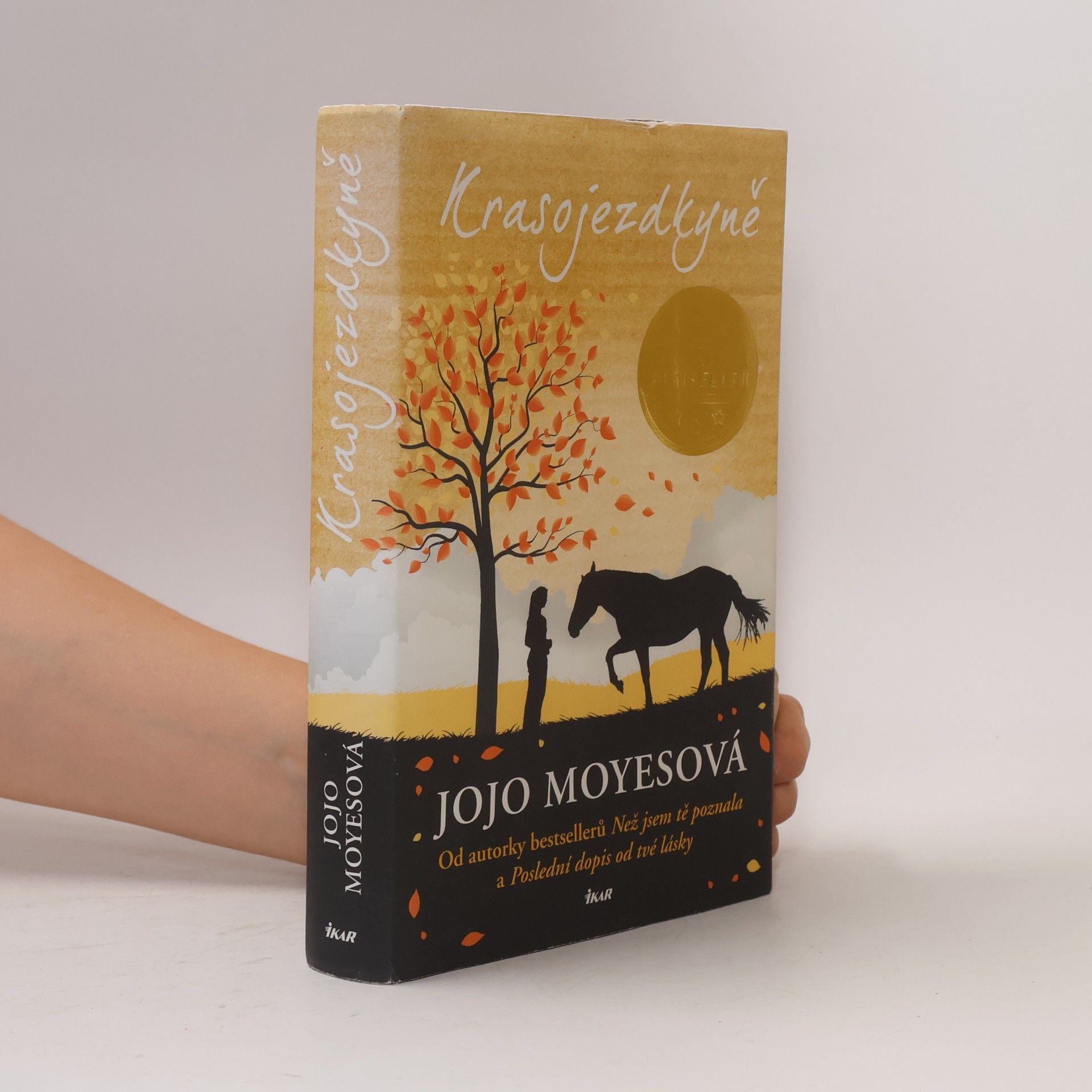 Jojo Moyes Krasojezdkyně