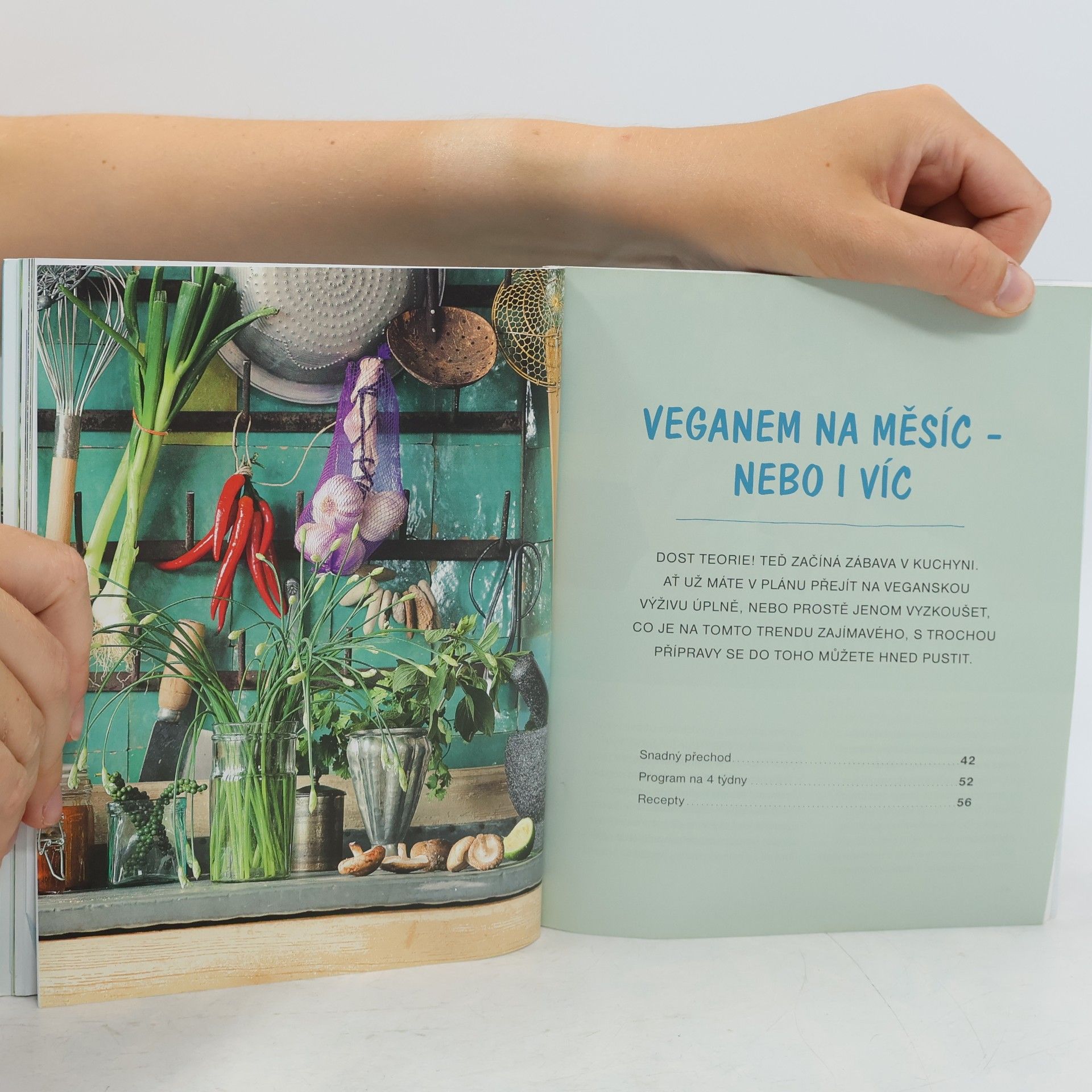 Ruediger Dahlke Stávám se veganem : 4týdenní program pro zdravý a dlouhý život