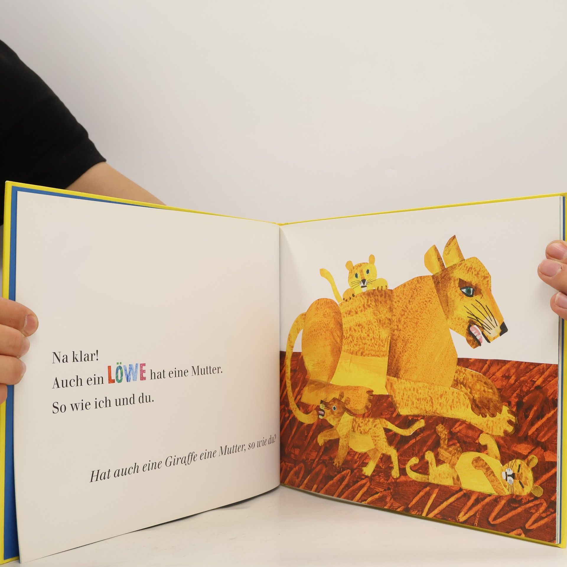 Eric Carle Abenteuer Lesen 5: Hat ein Känguru eine Mutter, so wie du?