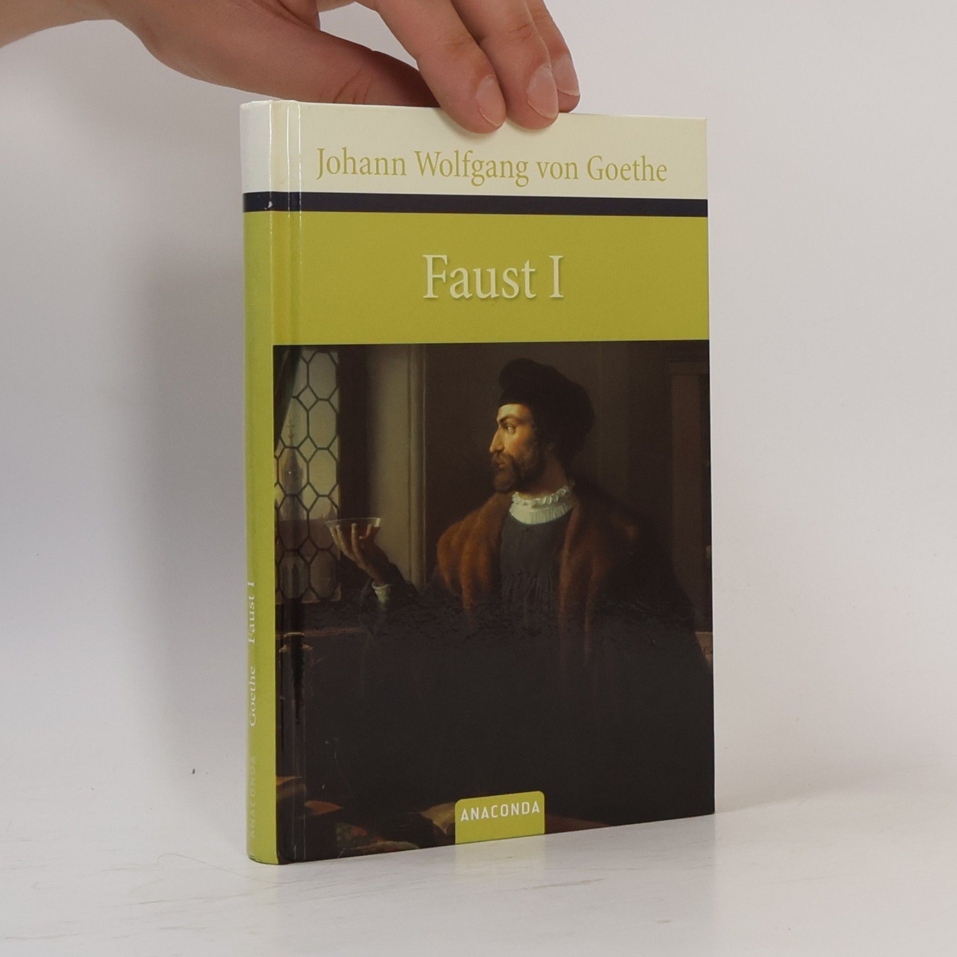 Johann Wolfgang von Goethe Faust : Der Tragödie erster Teil