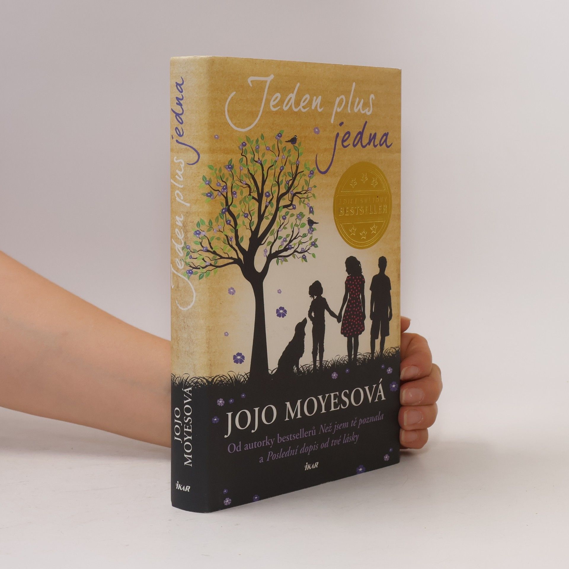 Jojo Moyes Jeden plus jedna