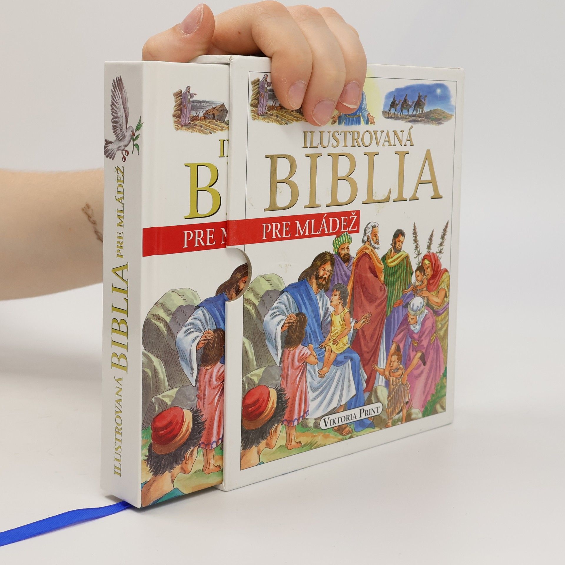 Kolektiv autorů Ilustrovaná Biblia pre mládež