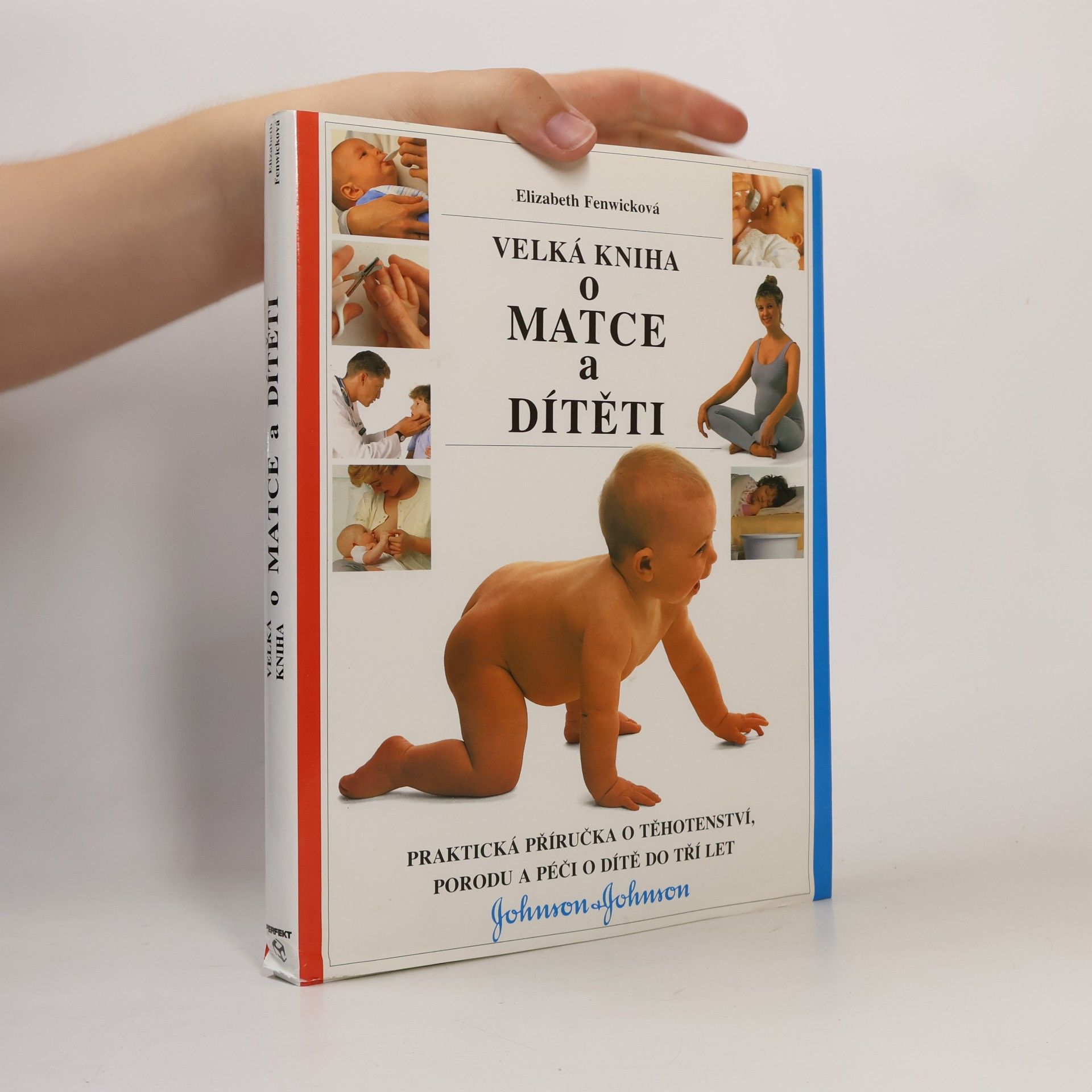 Elizabeth Fenwick Velká kniha o matce a dítěti