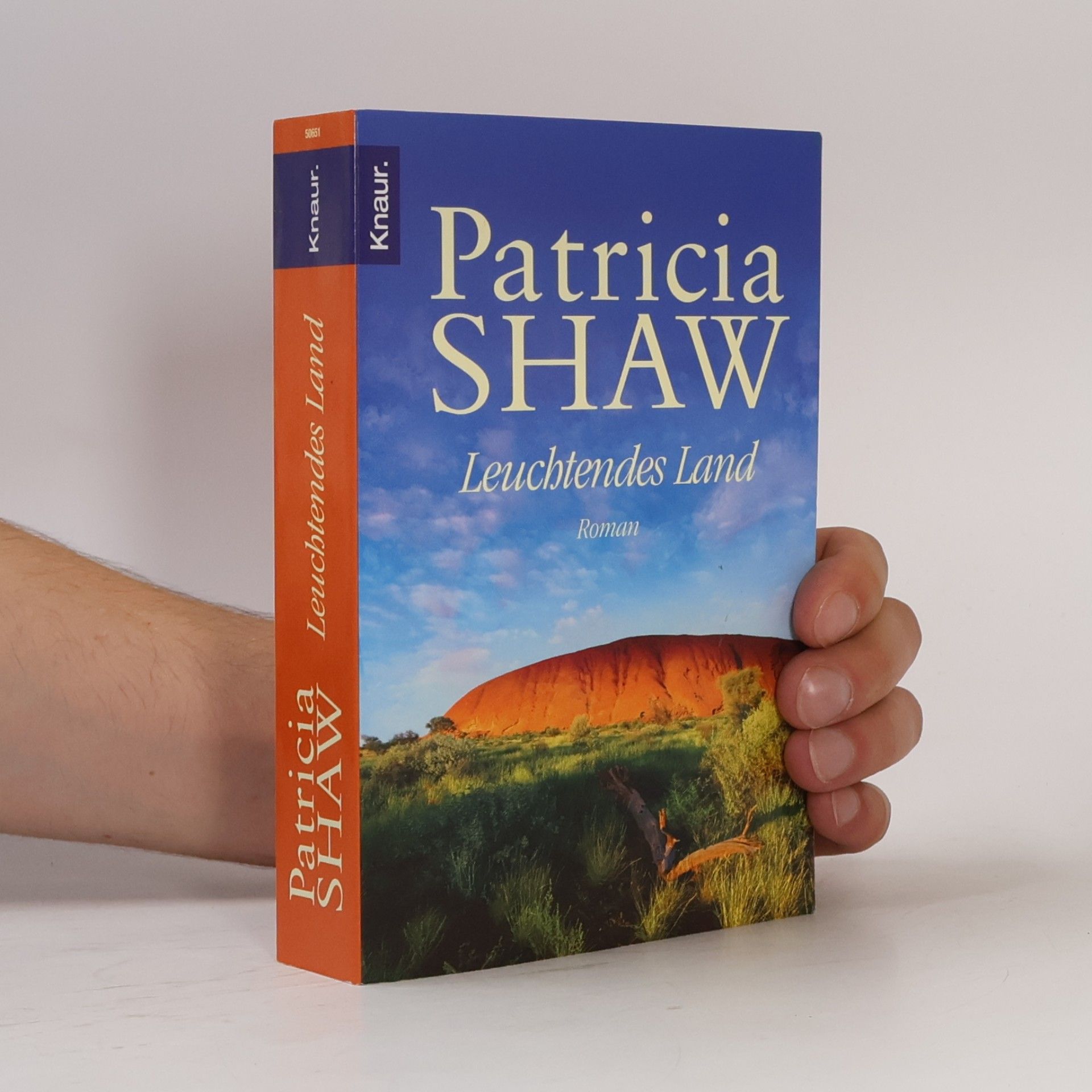 Patricia Shaw Leuchtendes Land