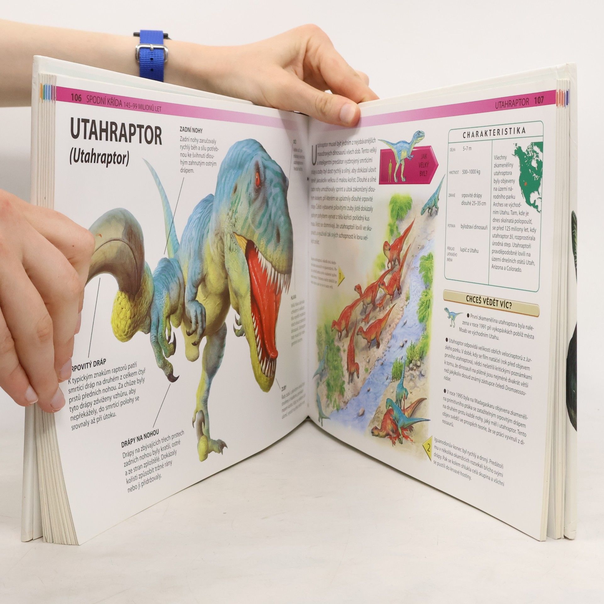 Veronica Ross Dinosauři – Fascinující svět pravěkých obrů