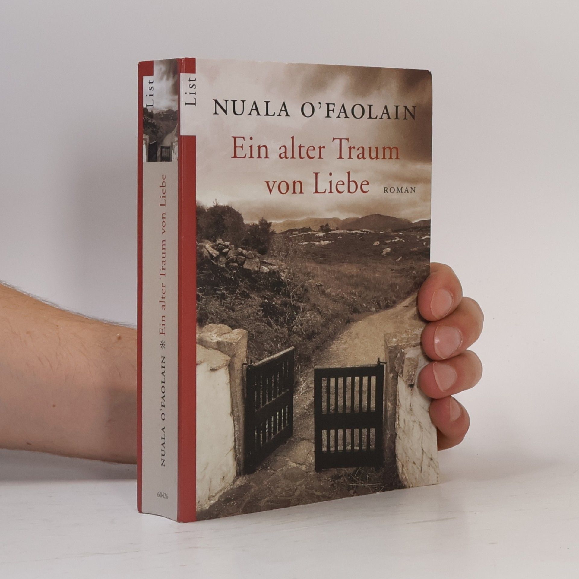 Nuala O. Faolain Ein alter Traum von Liebe