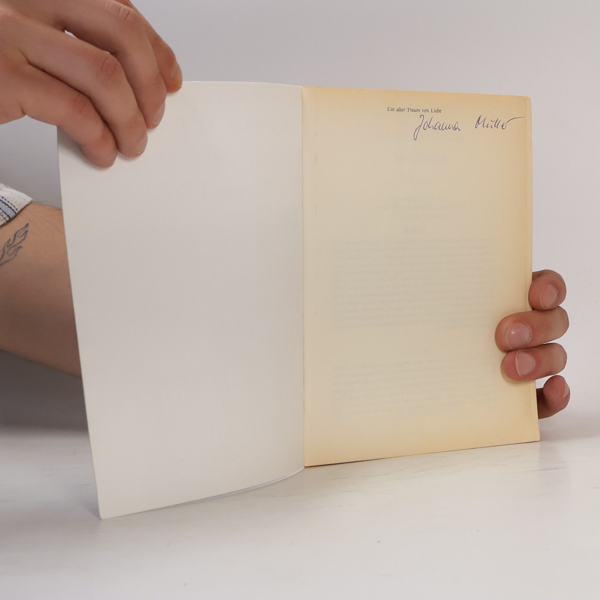 Nuala O. Faolain Ein alter Traum von Liebe