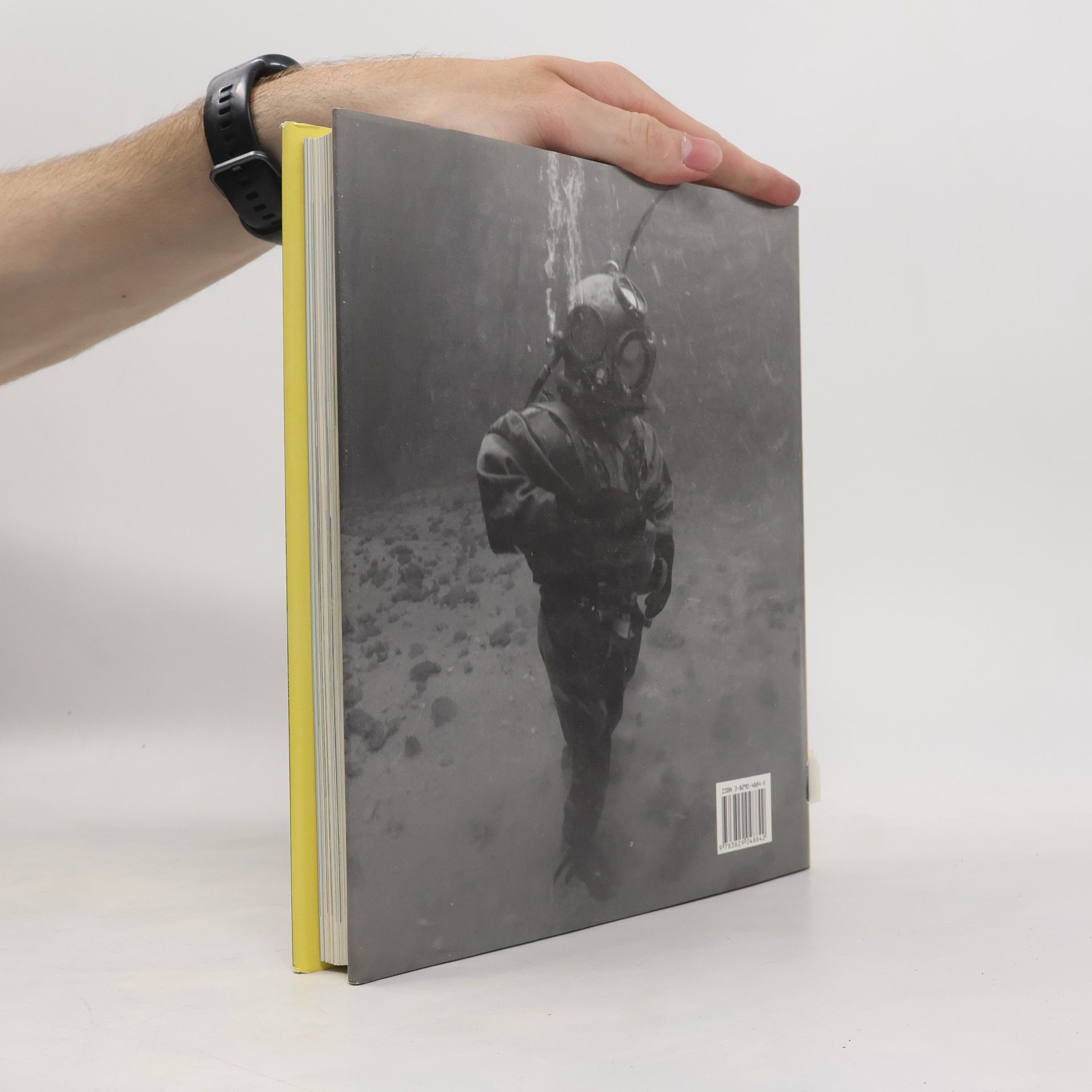 Dietmar Reimer Unterwasser-Fotografie