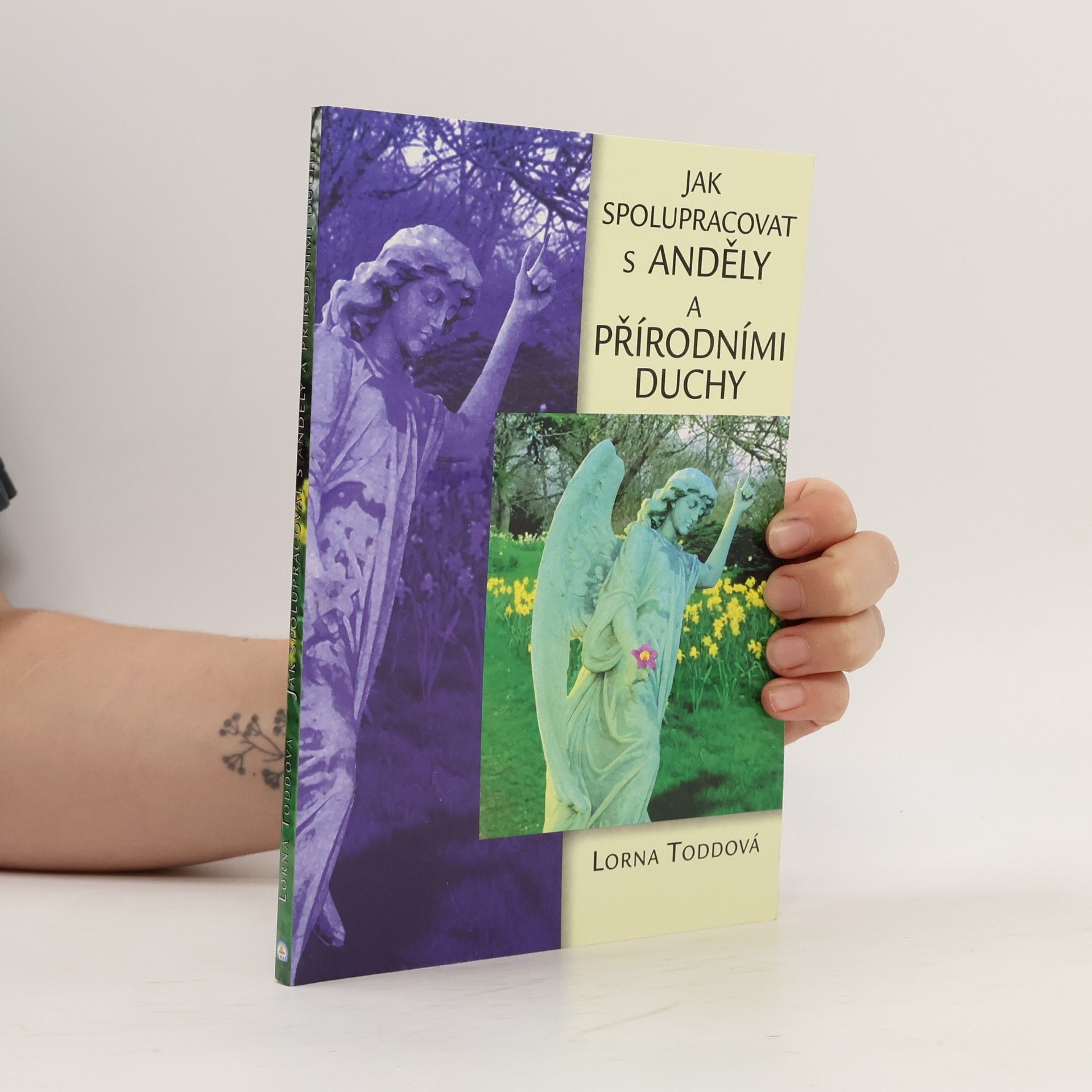 Lorna Todd Jak spolupracovat s anděly a přírodními duchy