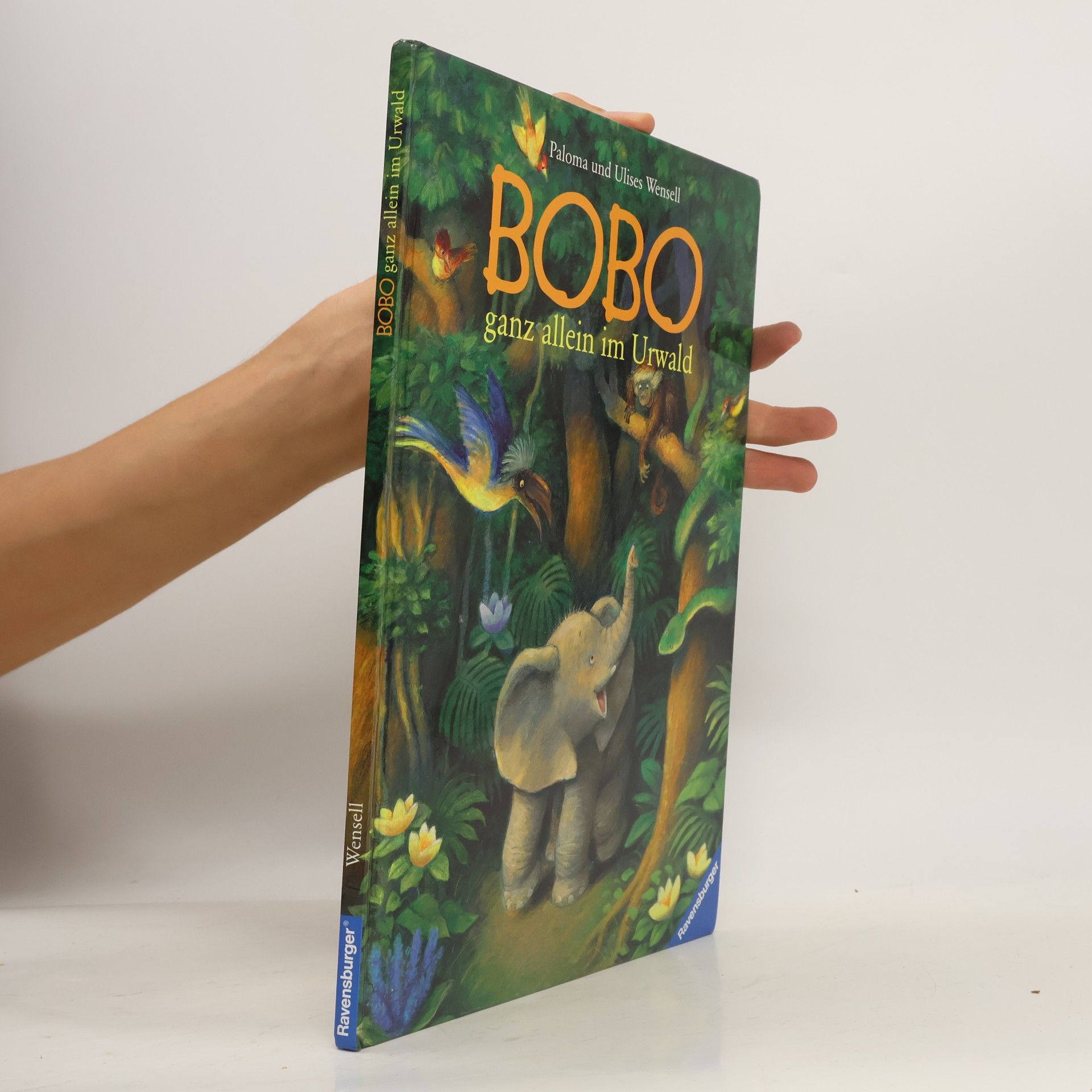 Bobo ganz allein im Urwald