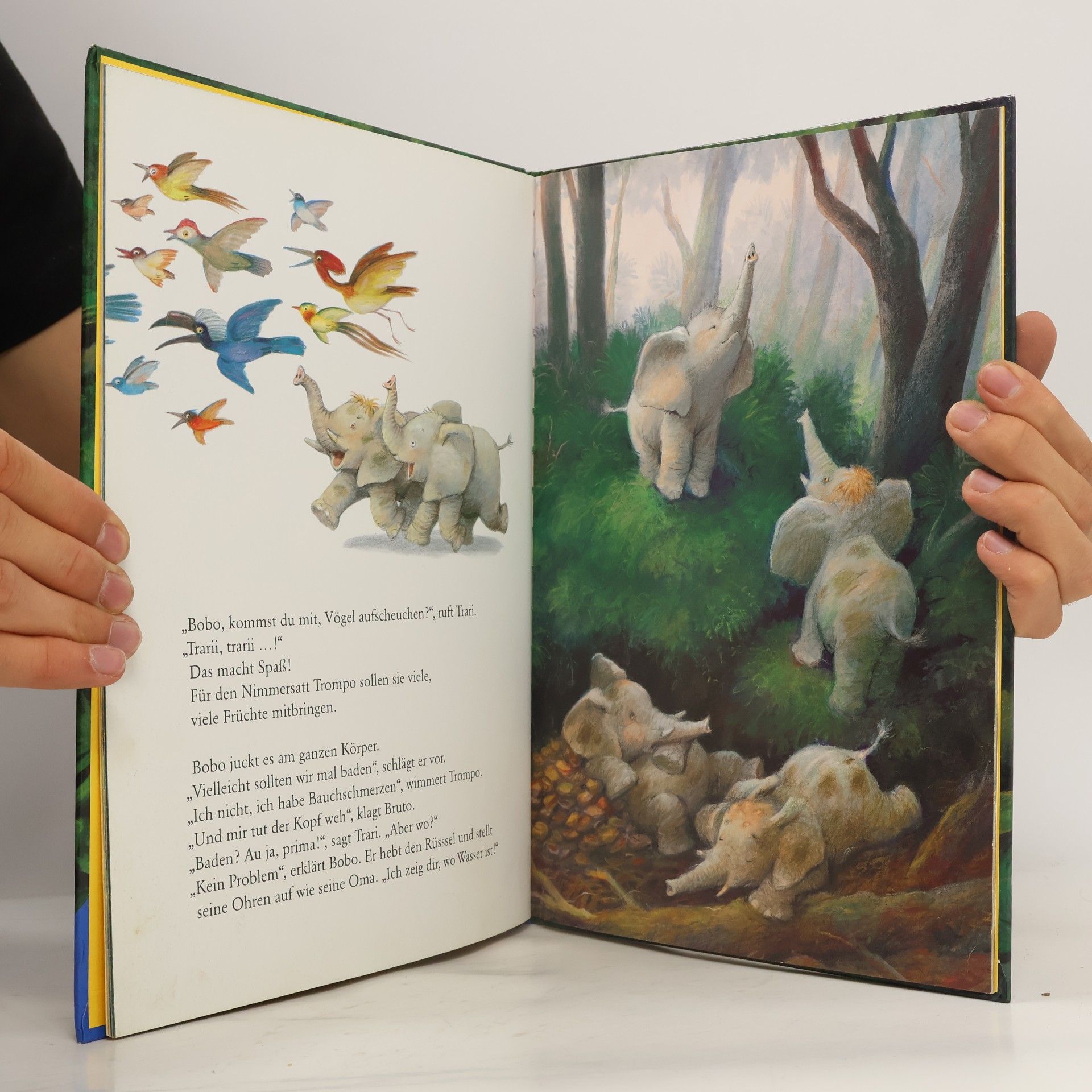 Ulises Wensell Bobo ganz allein im Urwald