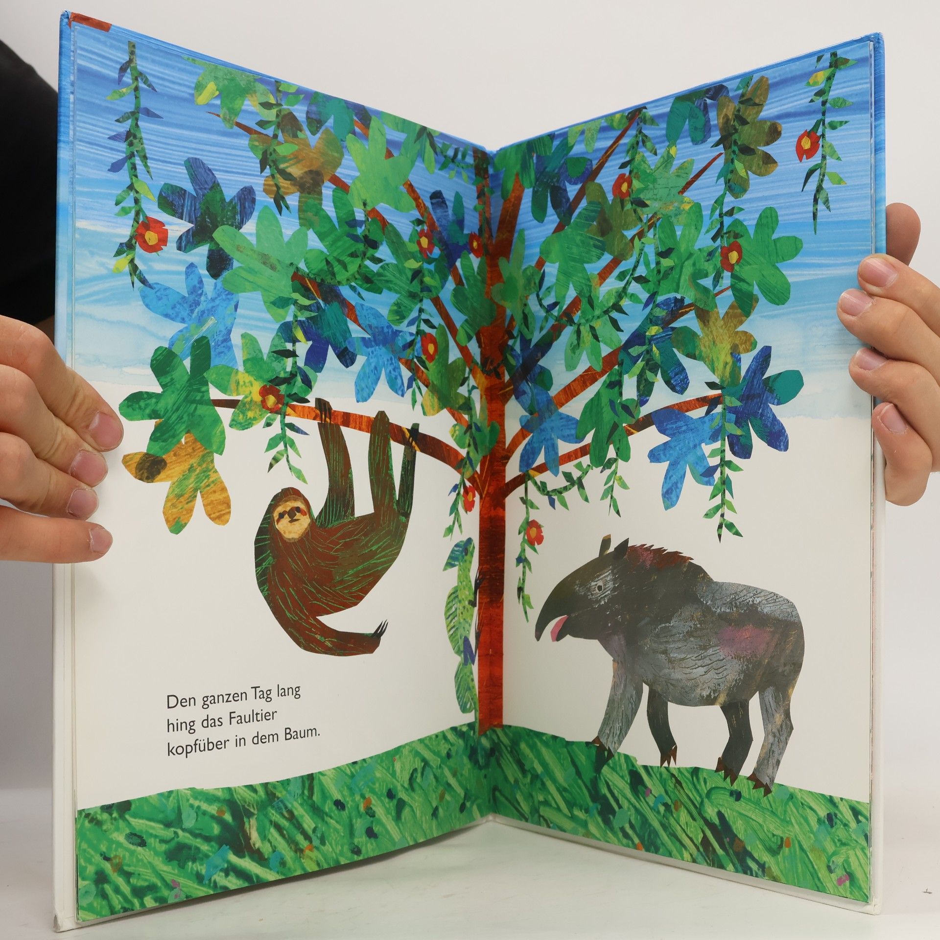 Eric Carle Ganz, ganz langsam, sagte das Faultier