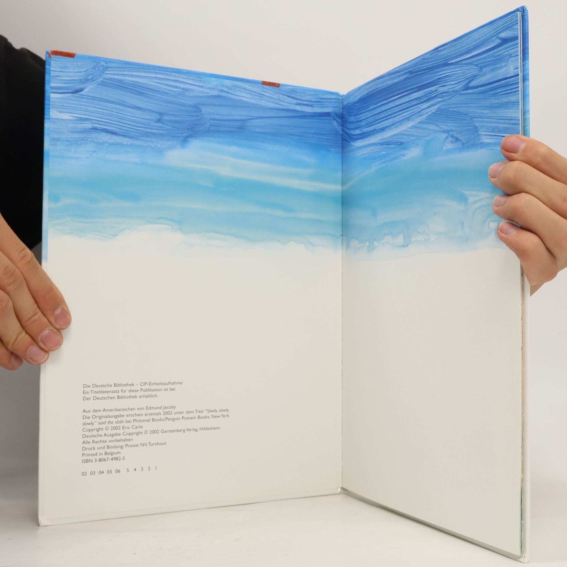 Eric Carle Ganz, ganz langsam, sagte das Faultier