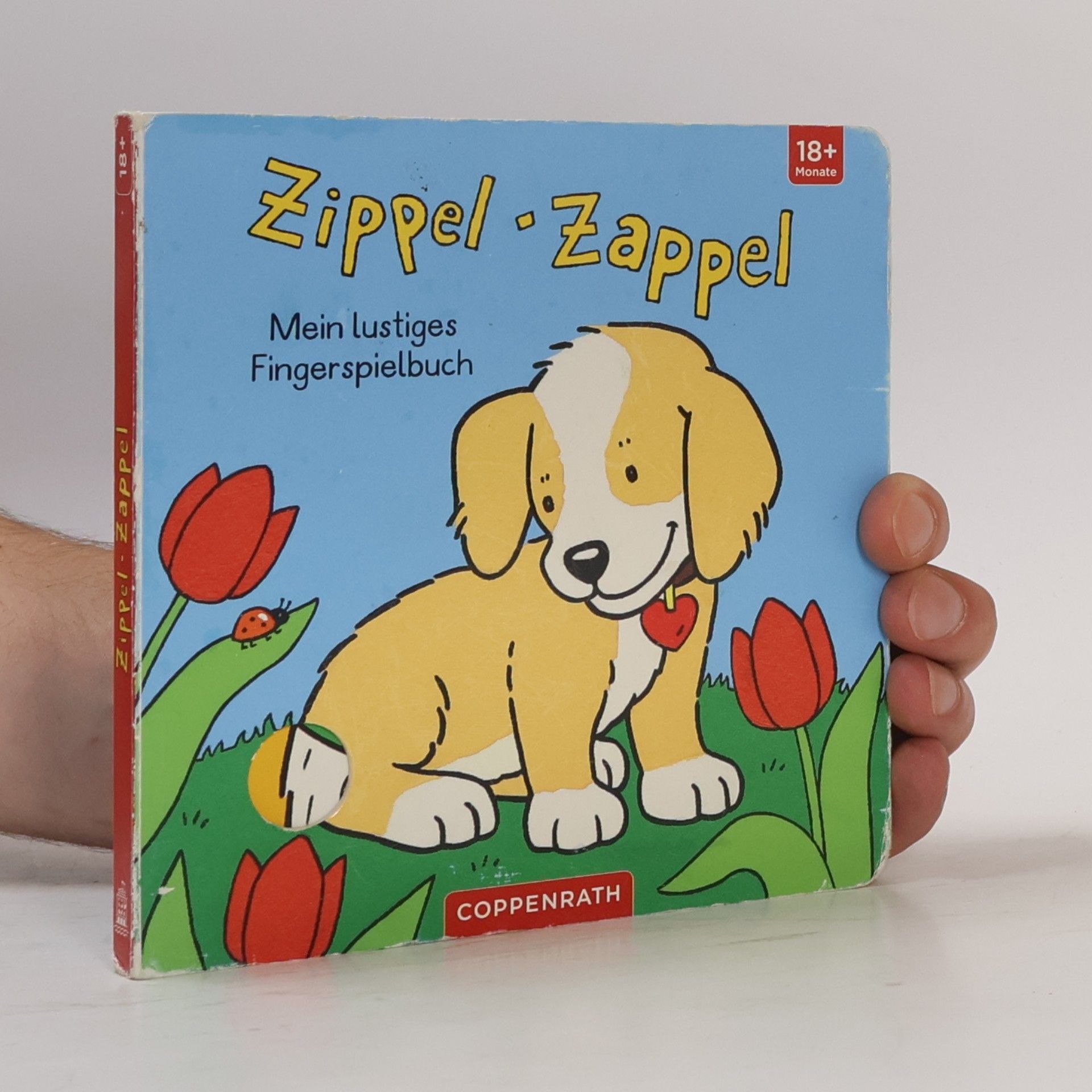 Sybille Brauer Zippel-Zappel