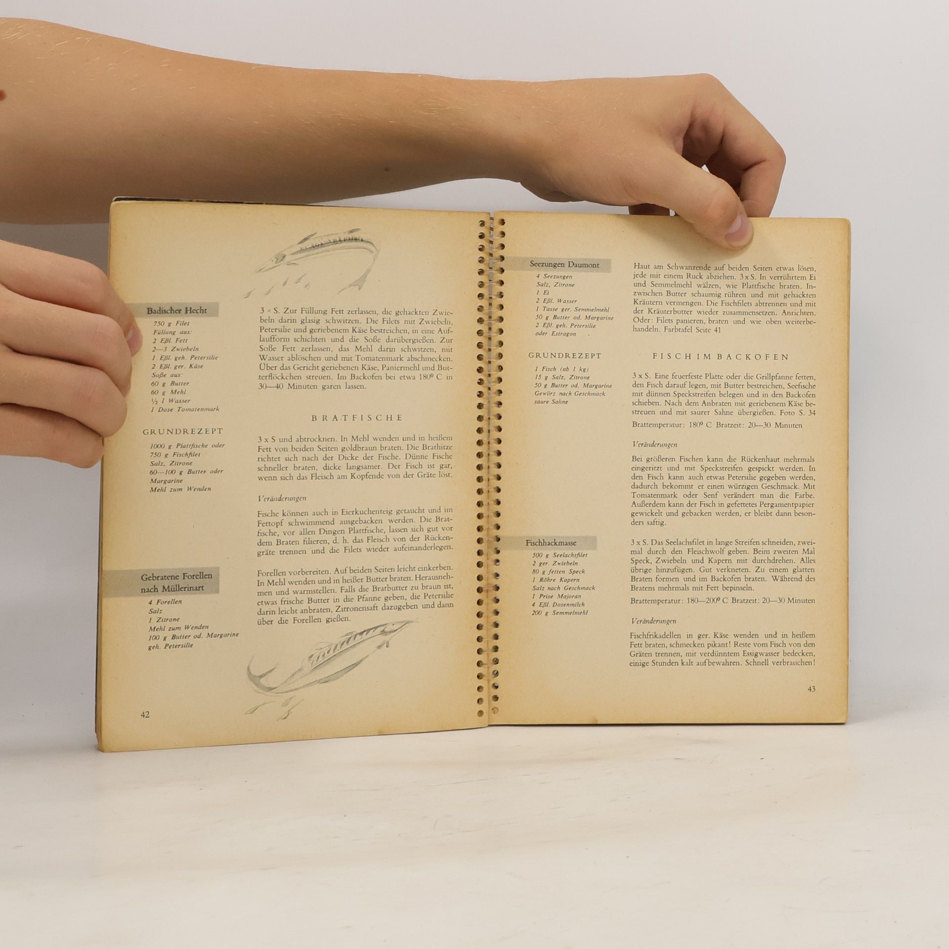 Collectif d'auteurs Winke und Rezepte