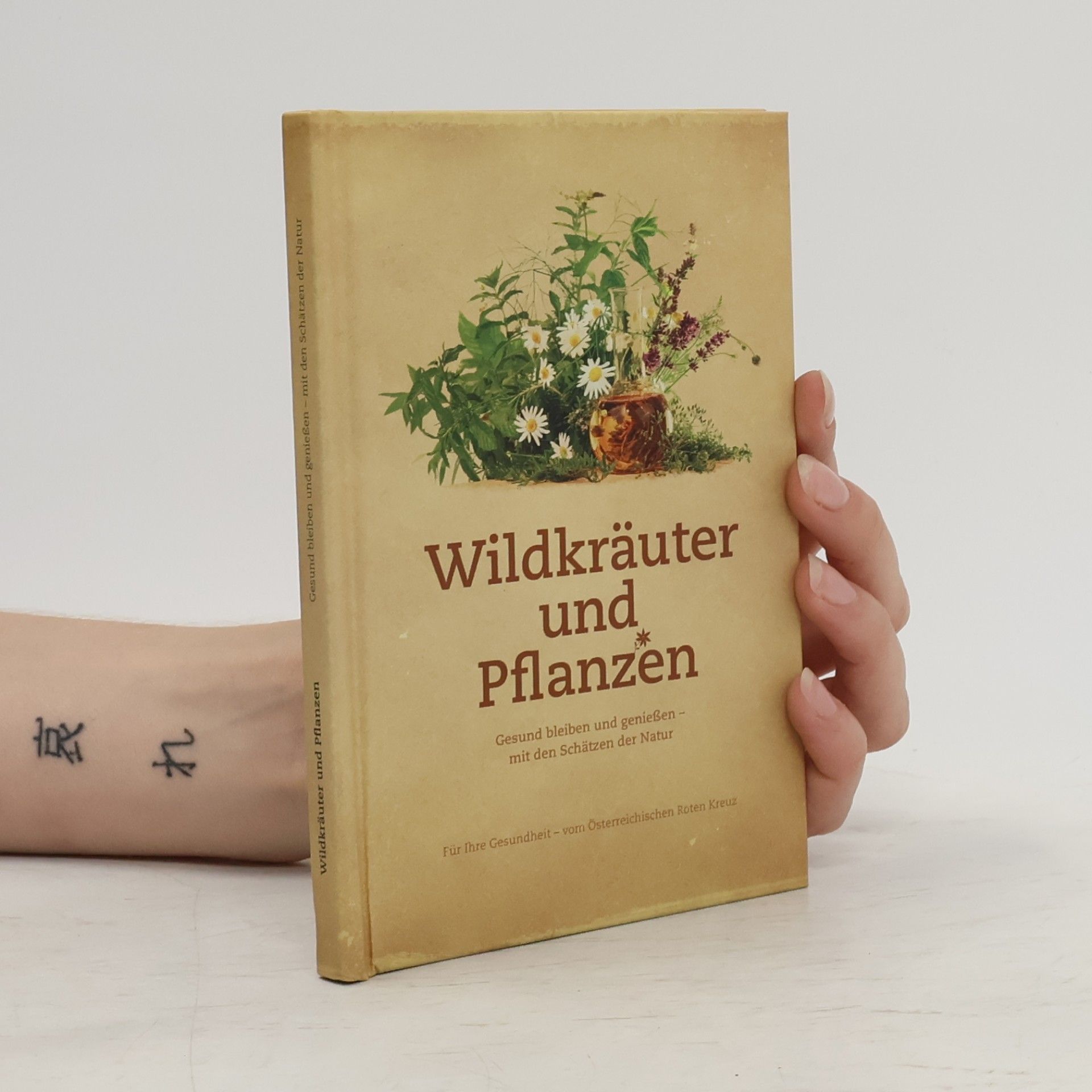 Doris Berger Wildkräuter und Pflanzen