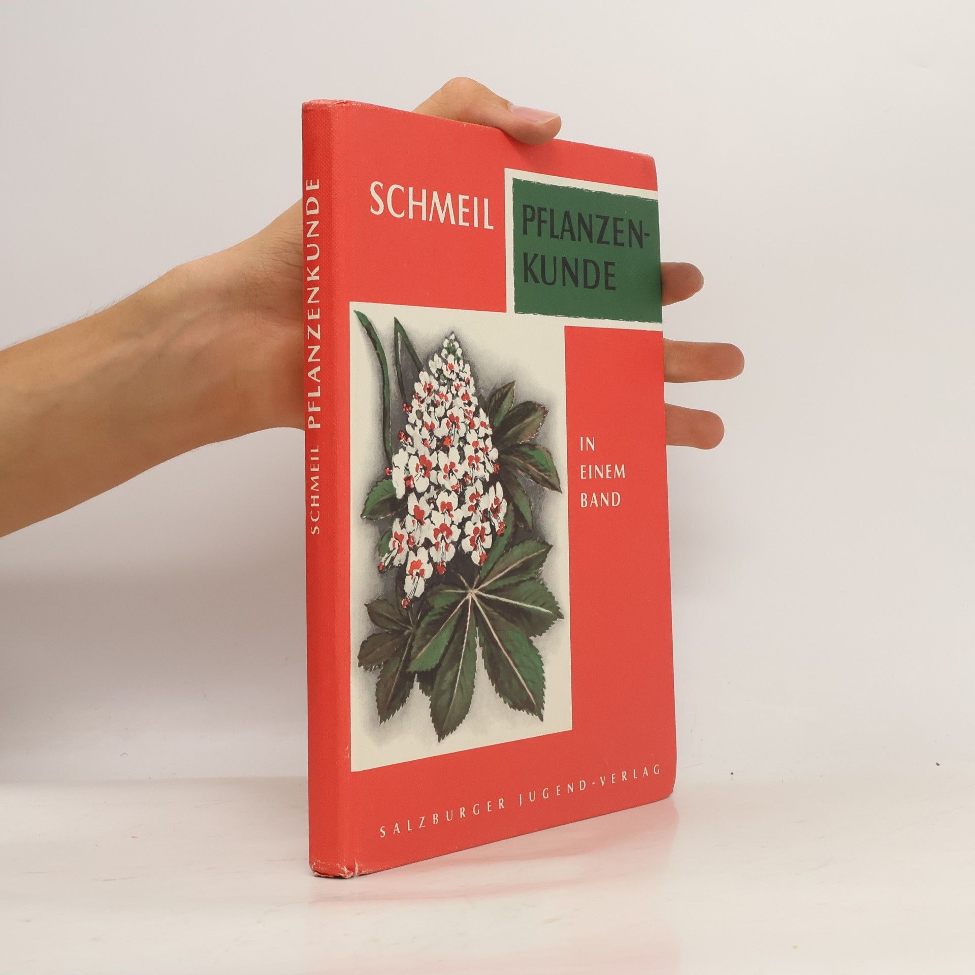 Otto Schmeil Pflanzenkunde