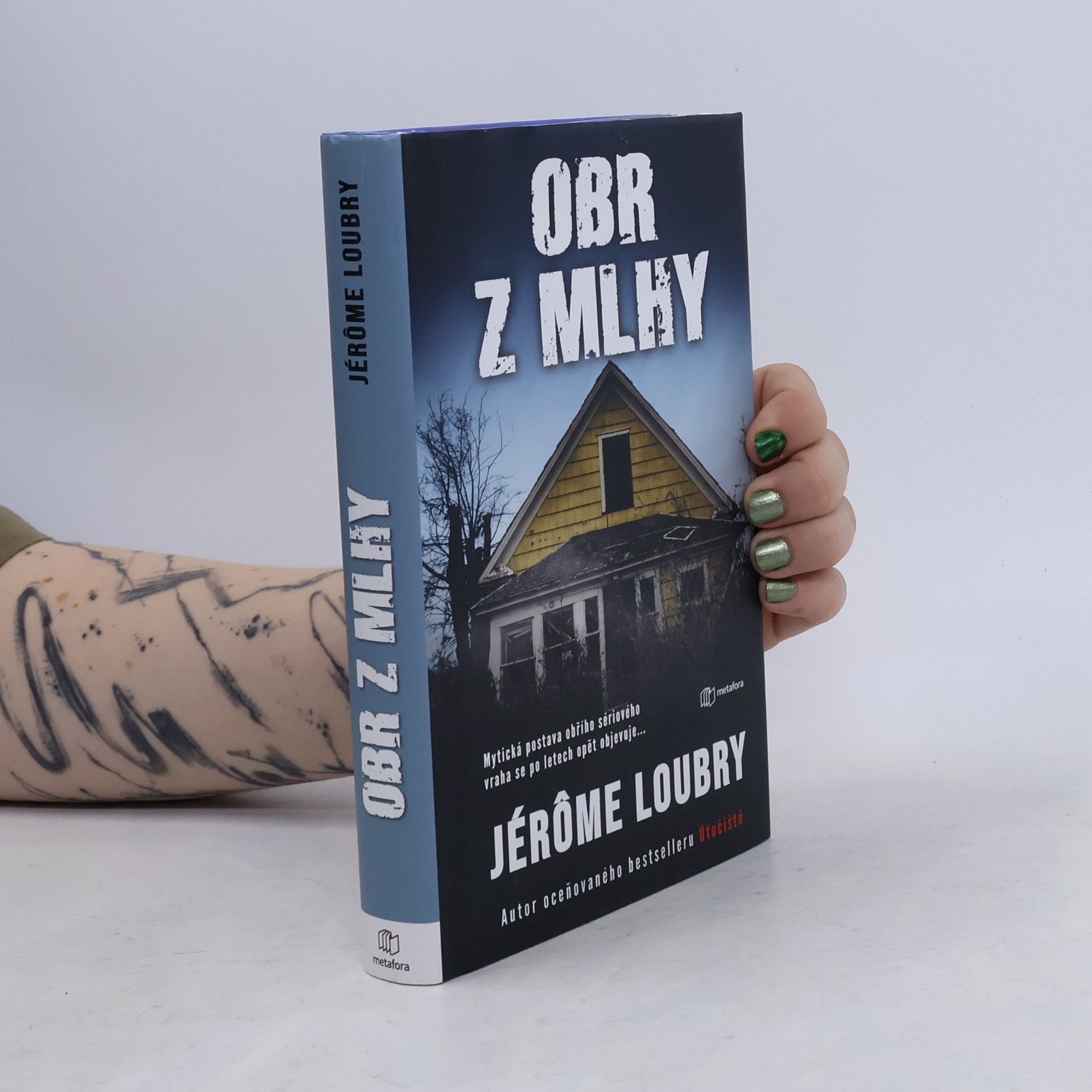 Jérôme Loubry Obr z mlhy