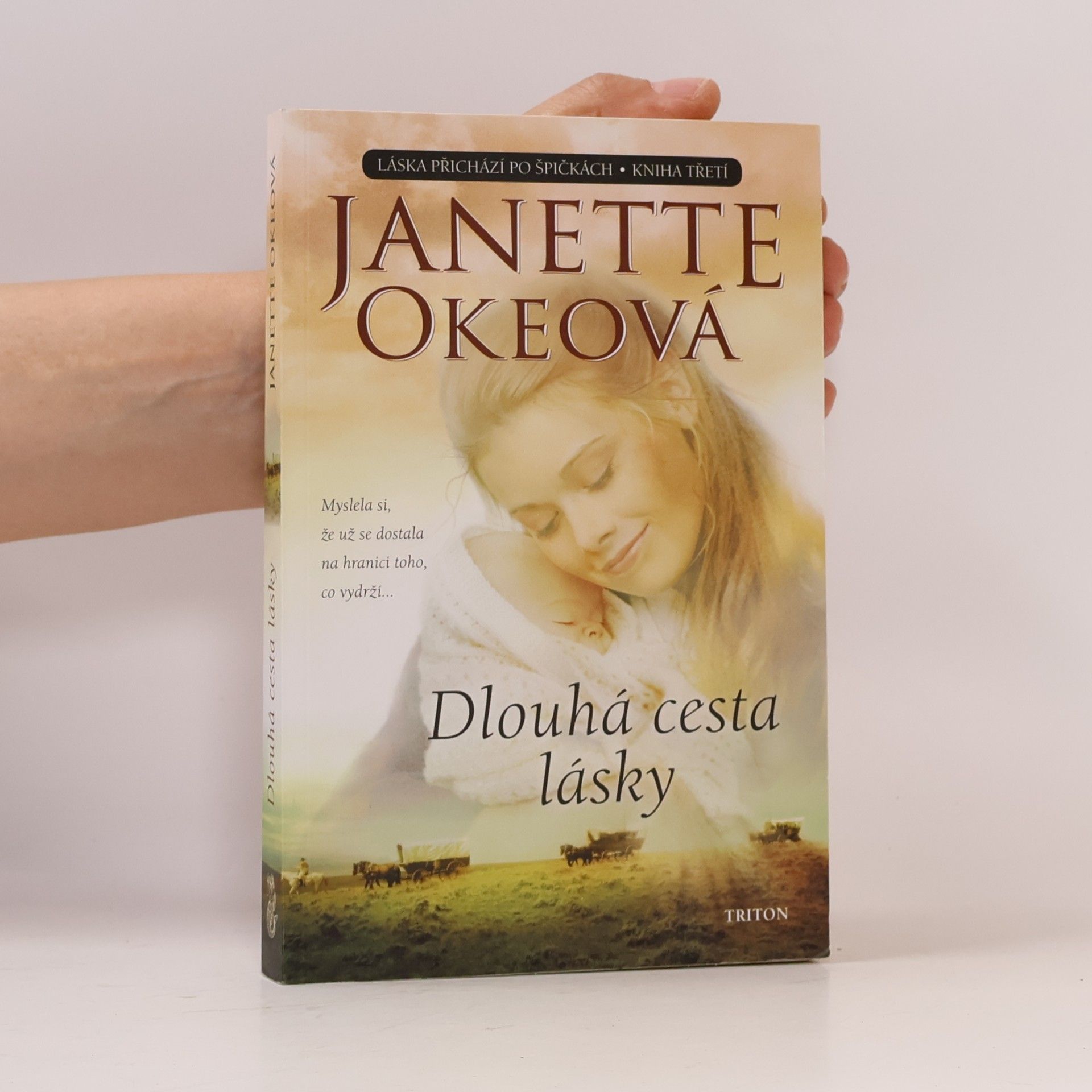 Janette Oke Dlouhá cesta lásky