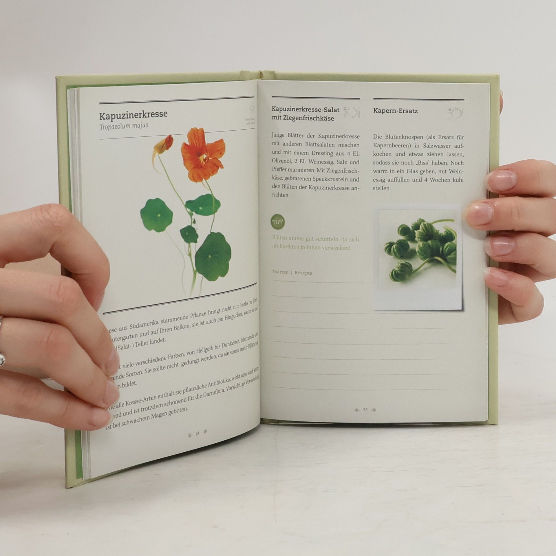 Autores varios Kräuter und Heilpflanzen