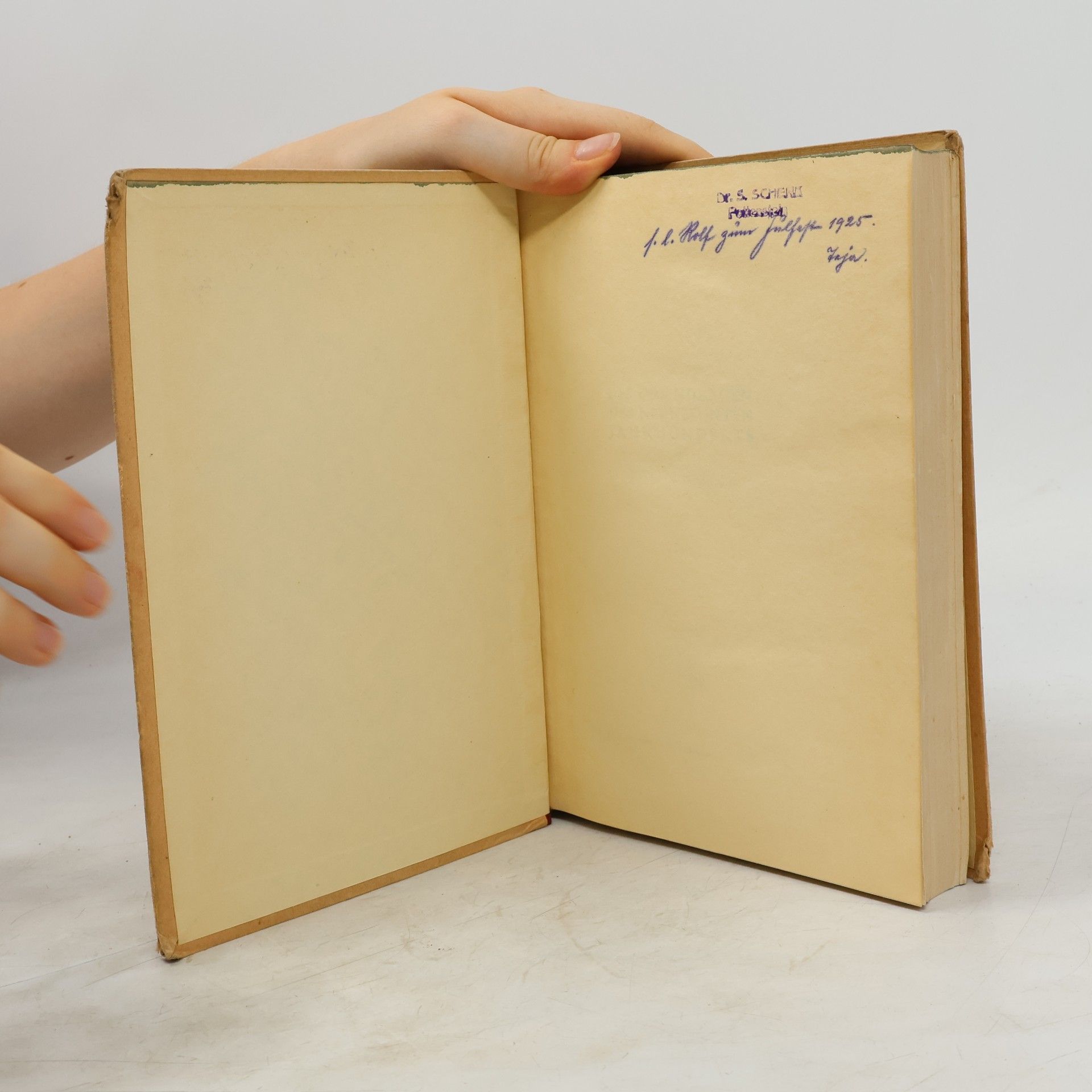 Houston Stewart Chamberlain Die Grundlagen des XIX. Jahrhunderts. II. Hälfte