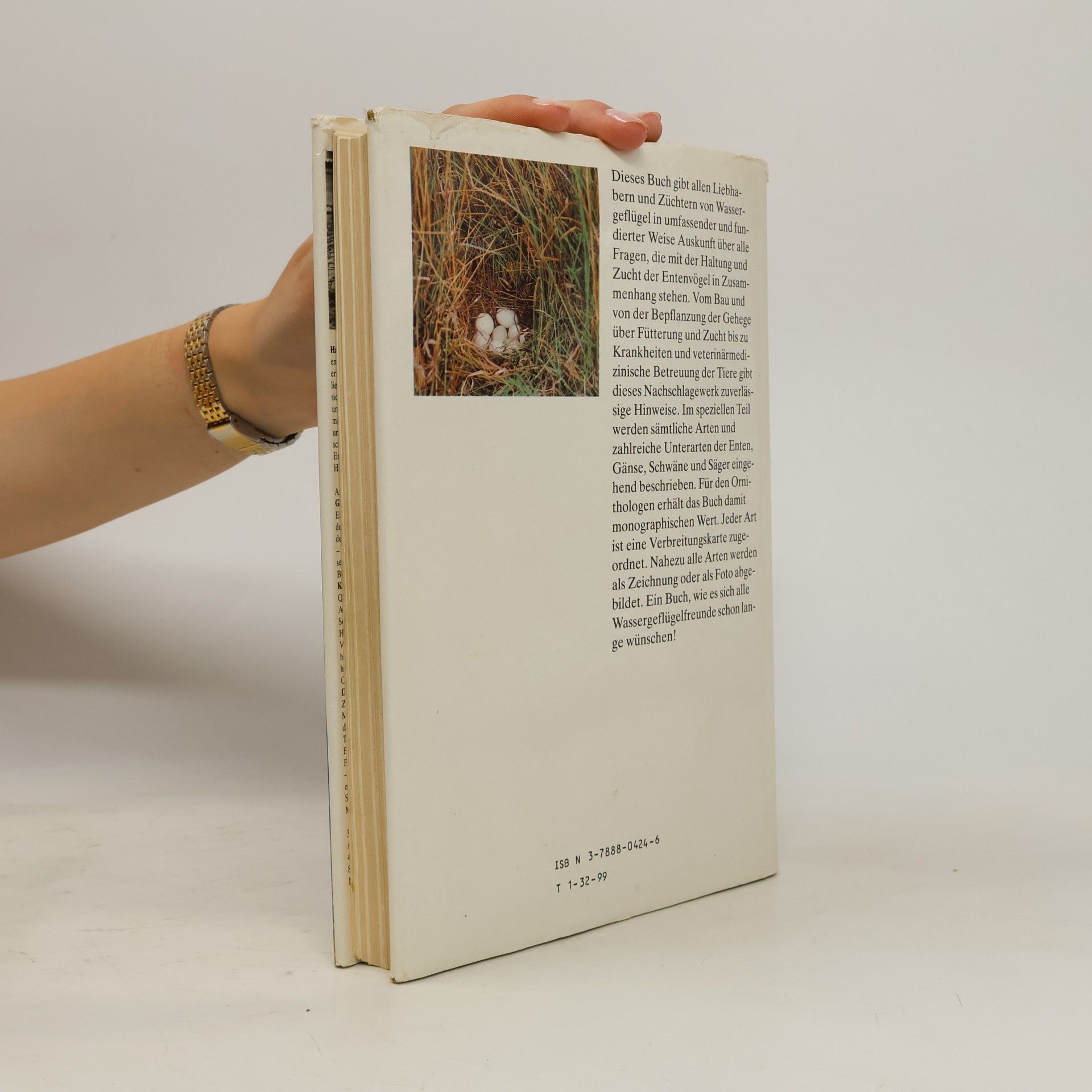 Hartmut Kolbe Die Entenvögel der Welt