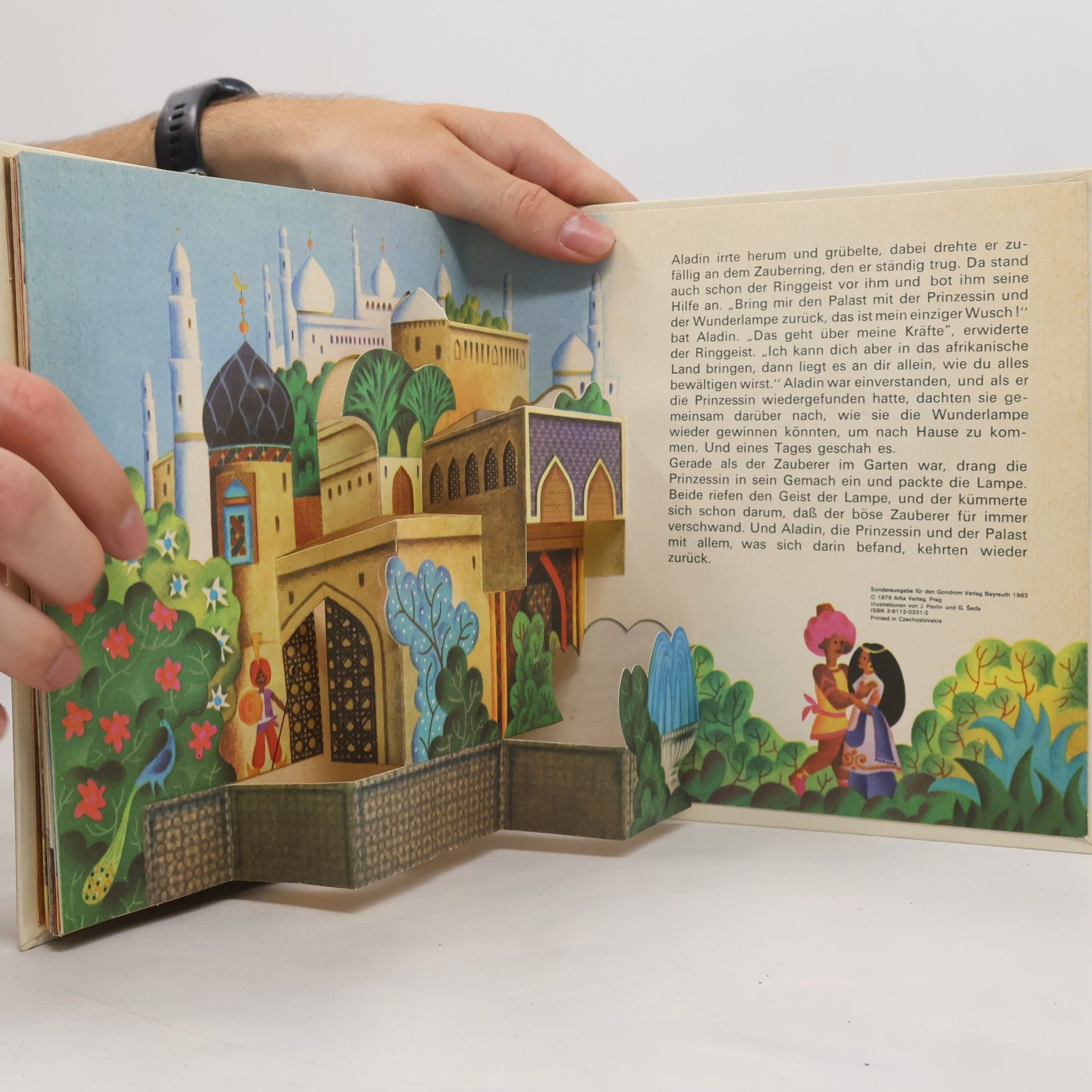 Kolektiv autorů Aladin und die Wunderlampe