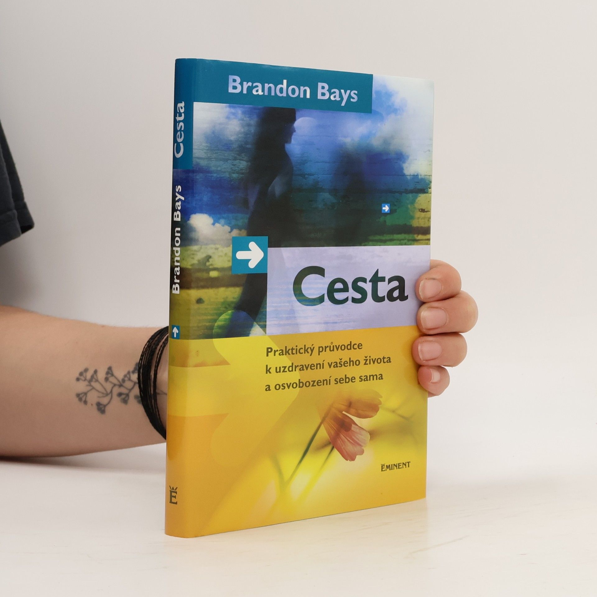 Brandon Bays Cesta