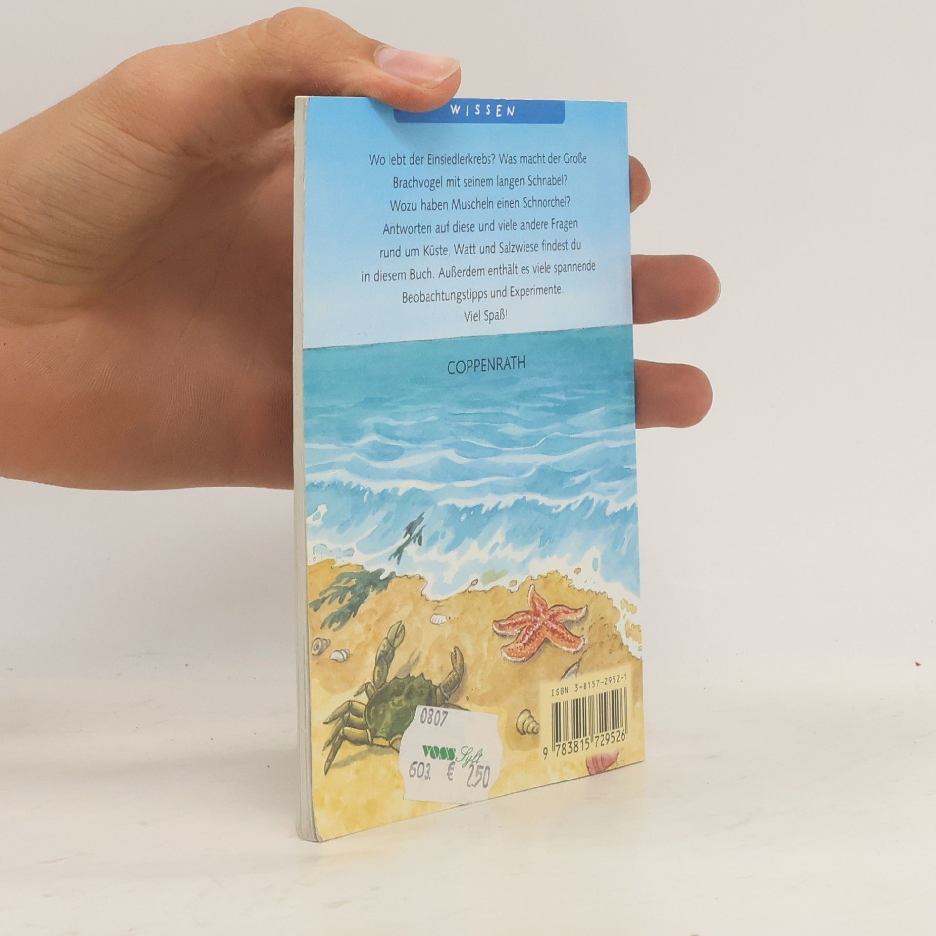 Holger Haag Kleine Spiel- & Spaßbücher /Wissen: Komm mit an die Küste