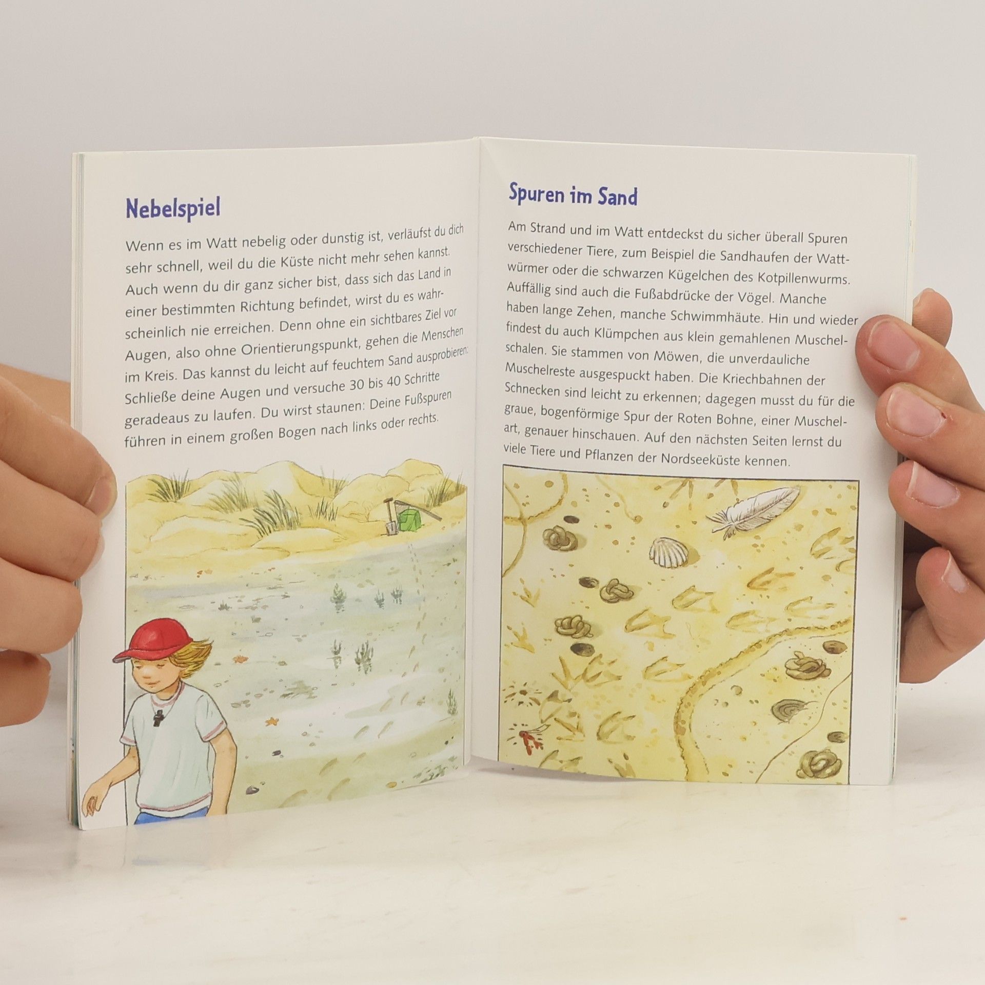 Holger Haag Kleine Spiel- & Spaßbücher /Wissen: Komm mit an die Küste