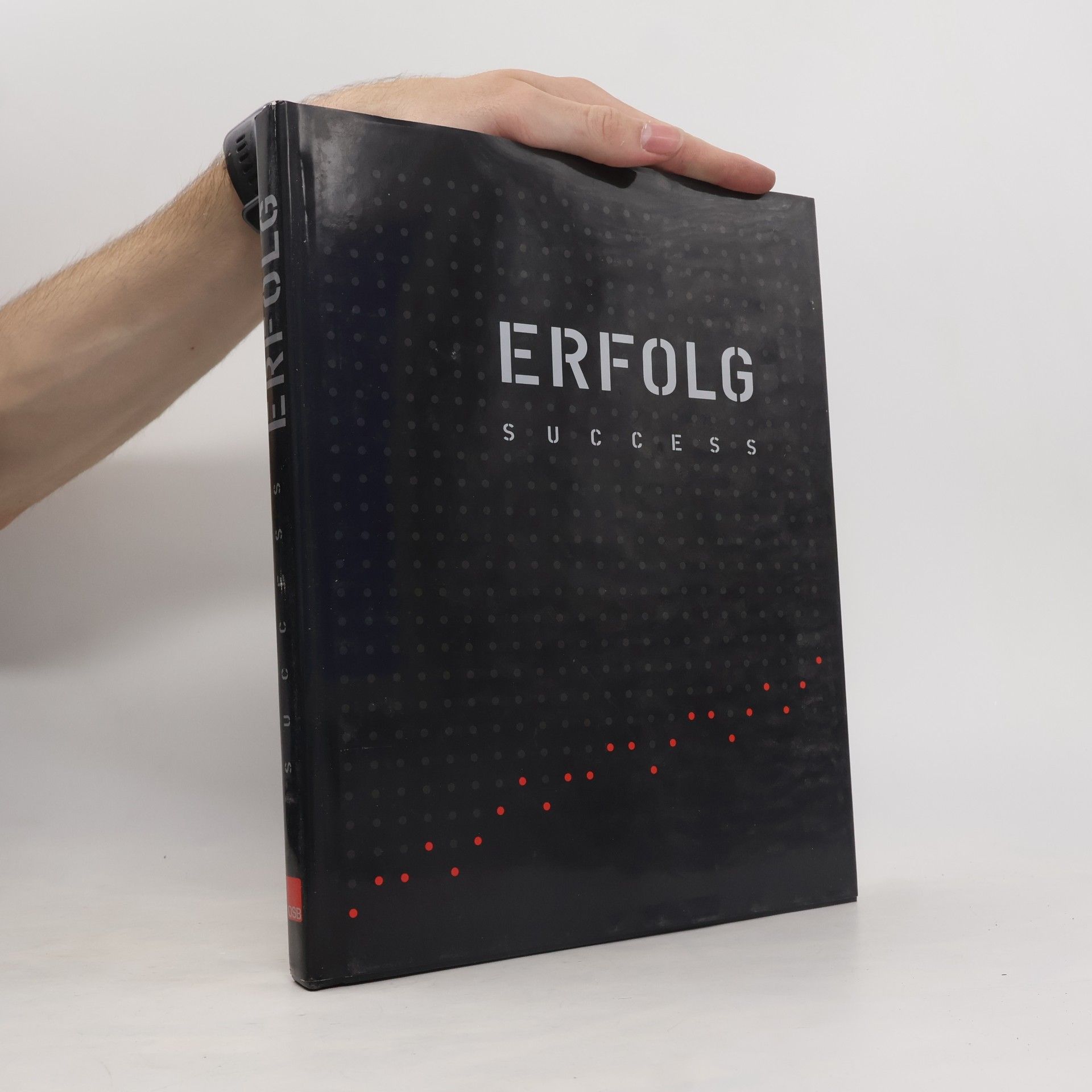 Autores varios Erfolg - Success