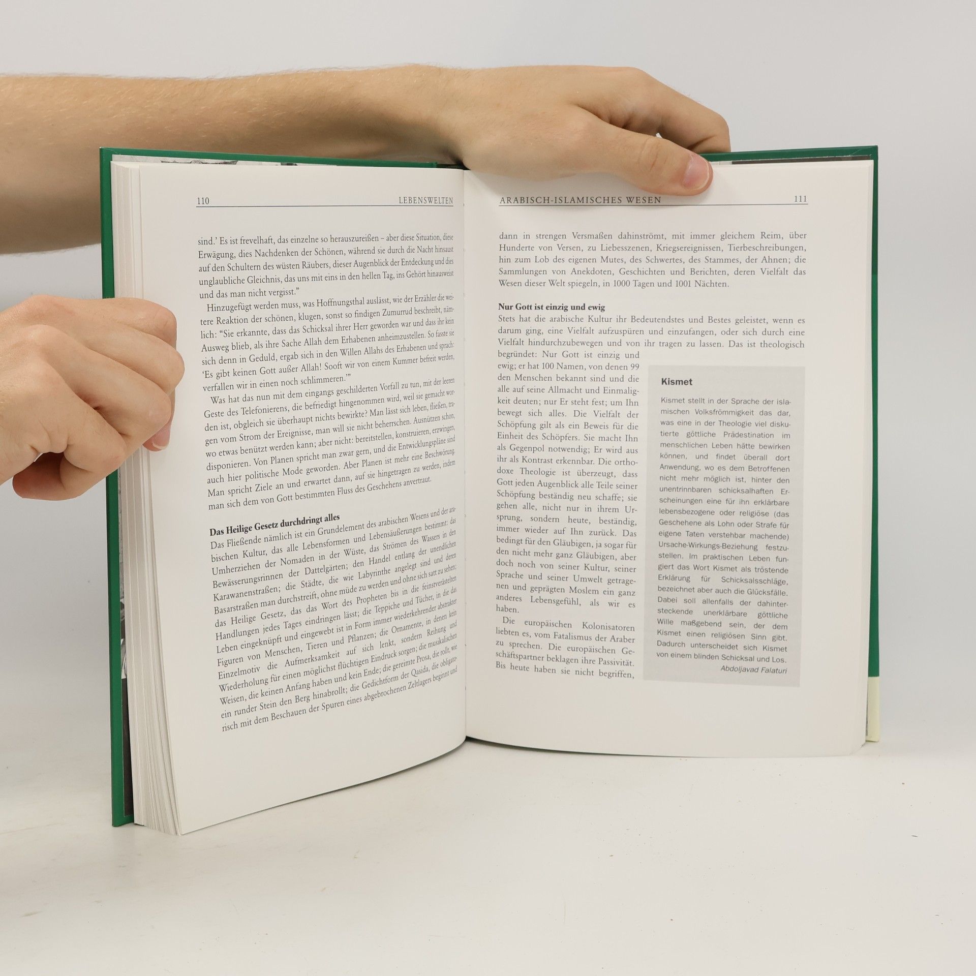 Walter Weiss Dumonts Handbuch. Islam
